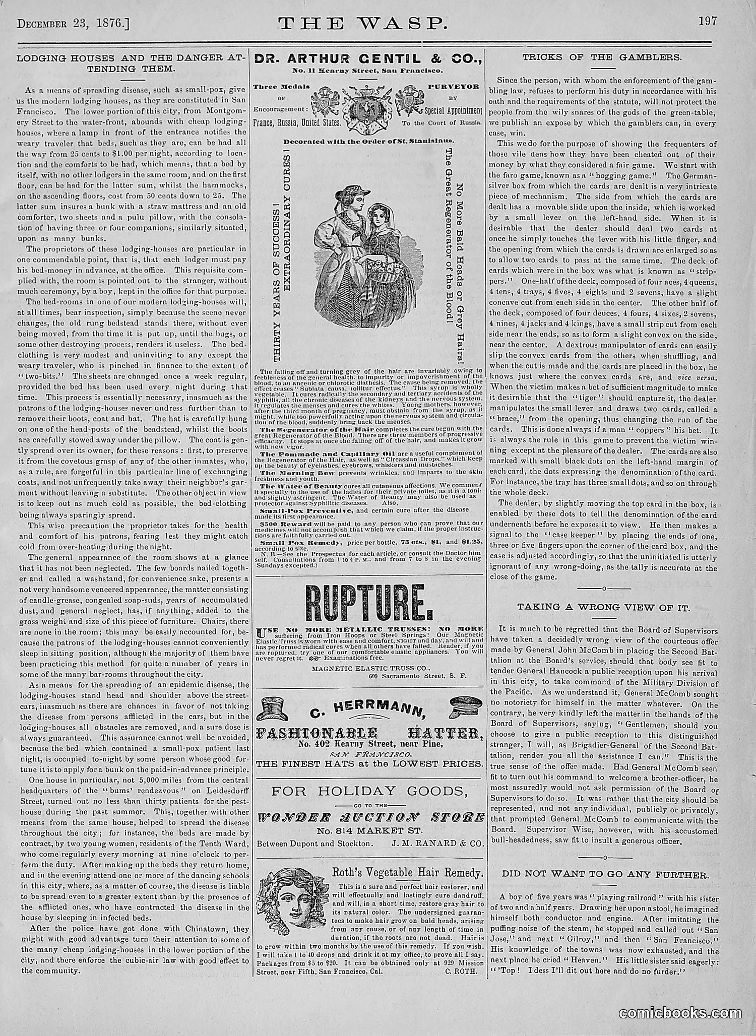 The Wasp — 1876 — page 212 of 230