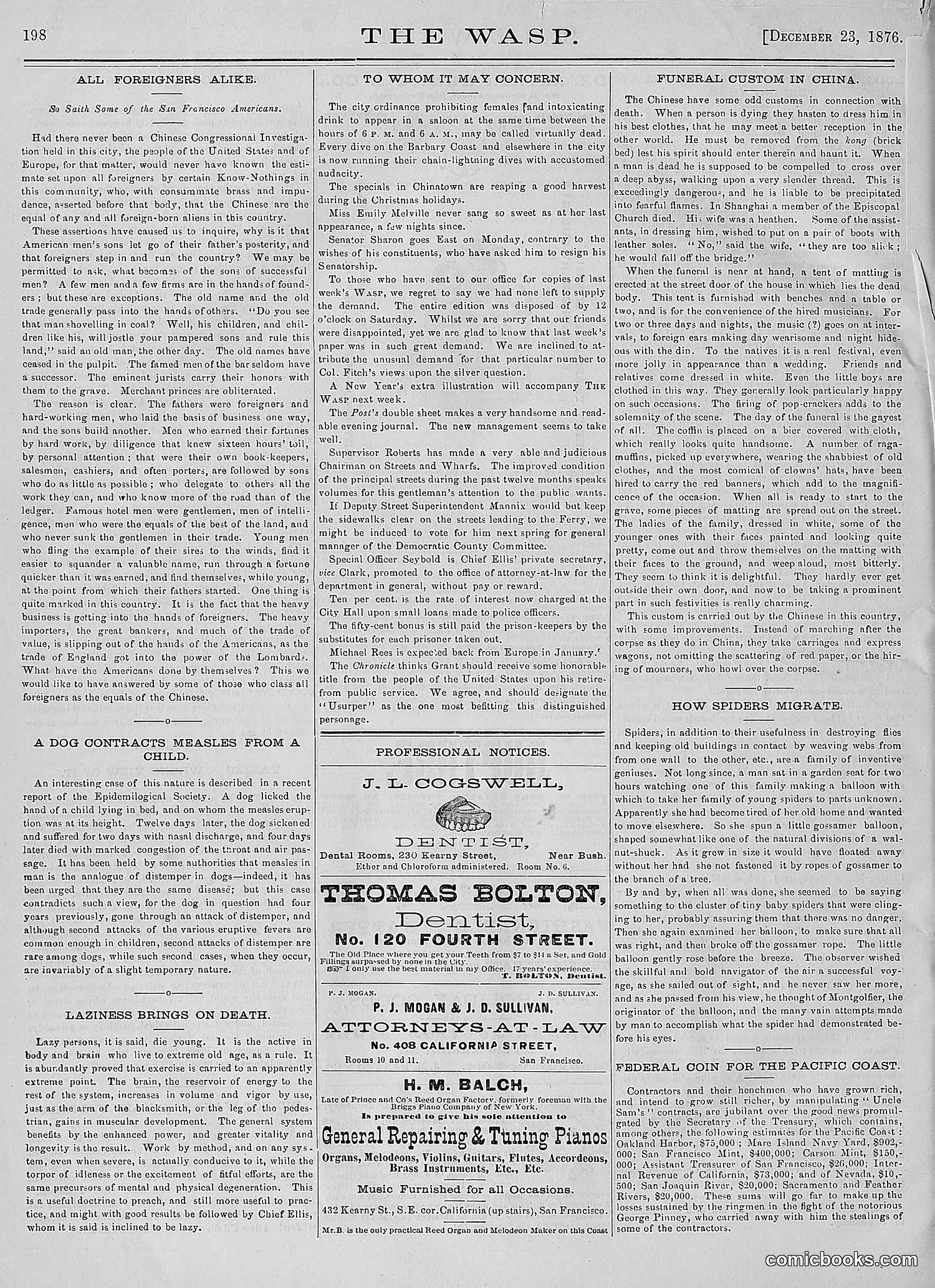 The Wasp — 1876 — page 213 of 230