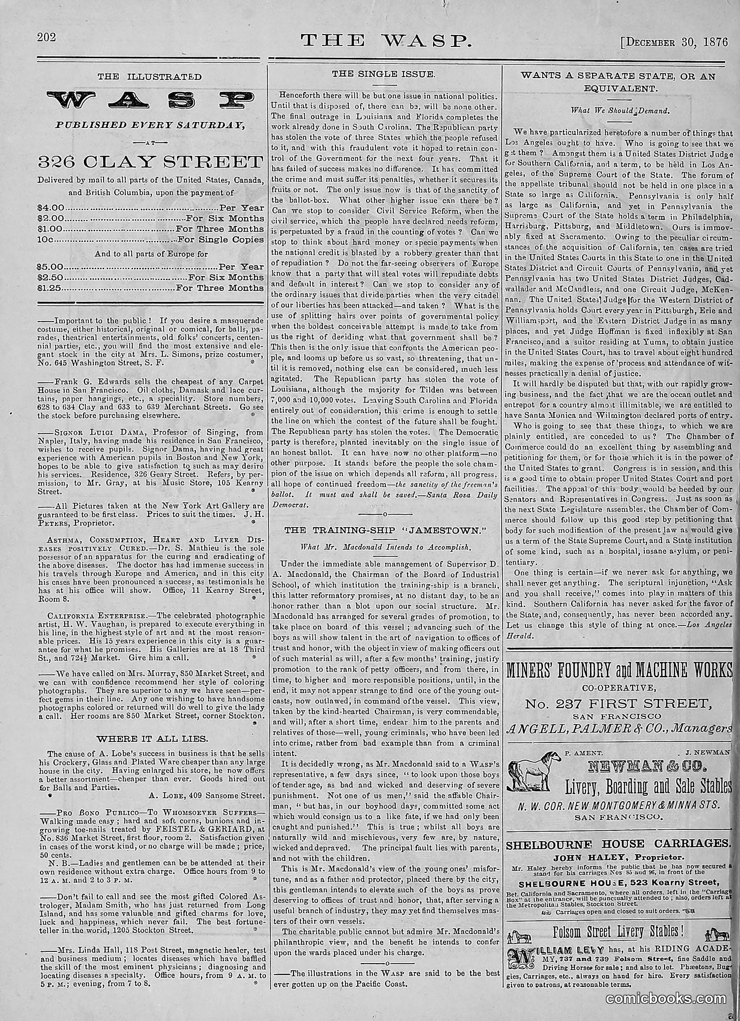 The Wasp — 1876 — page 215 of 230