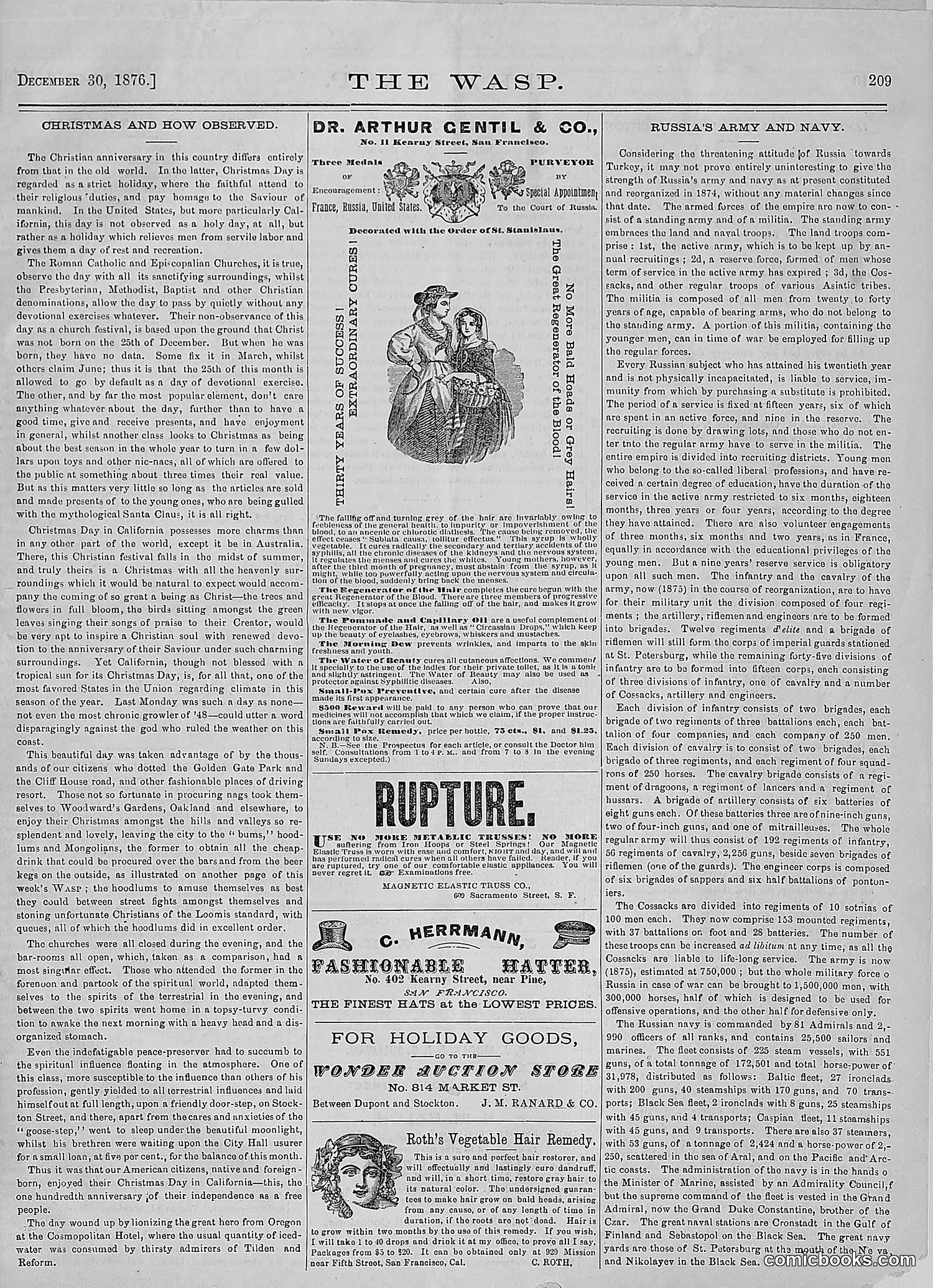 The Wasp — 1876 — page 222 of 230