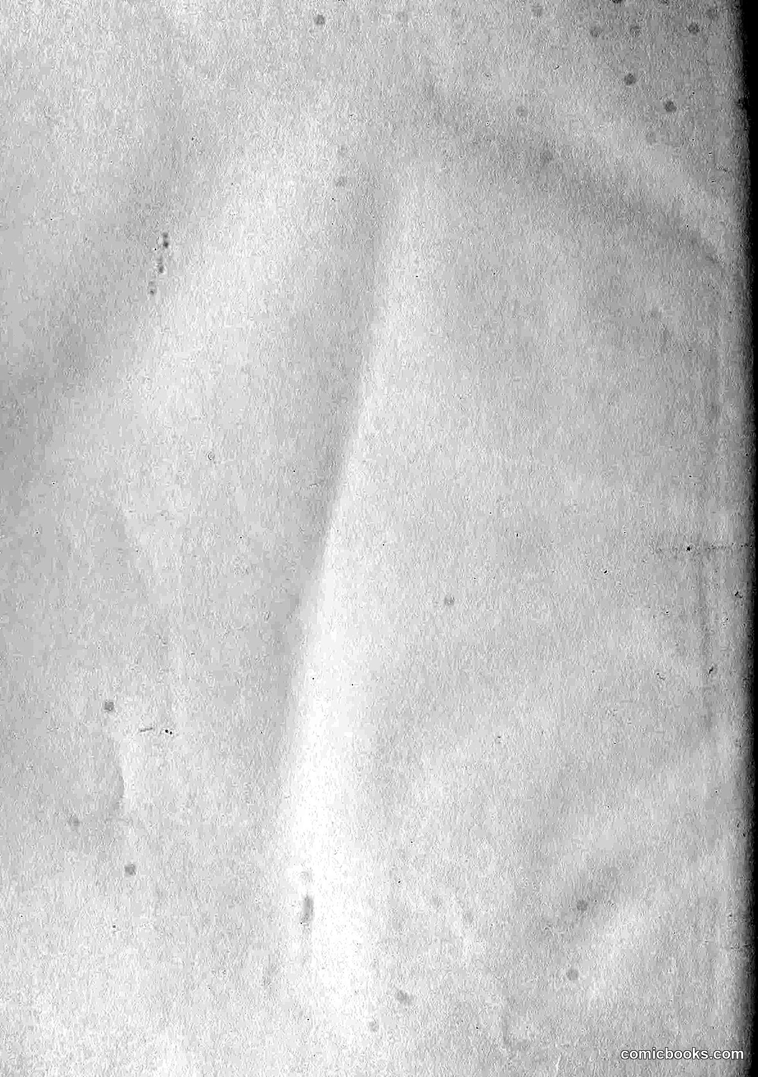 The Wasp — 1876 — page 229 of 230