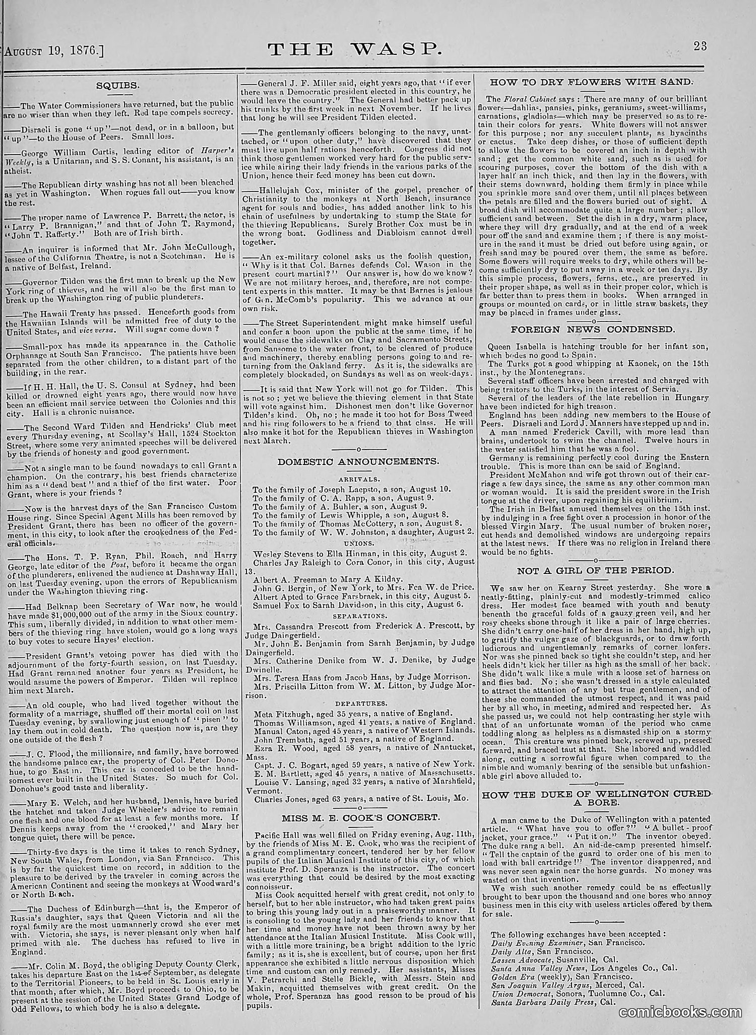 The Wasp — 1876 — page 30 of 230