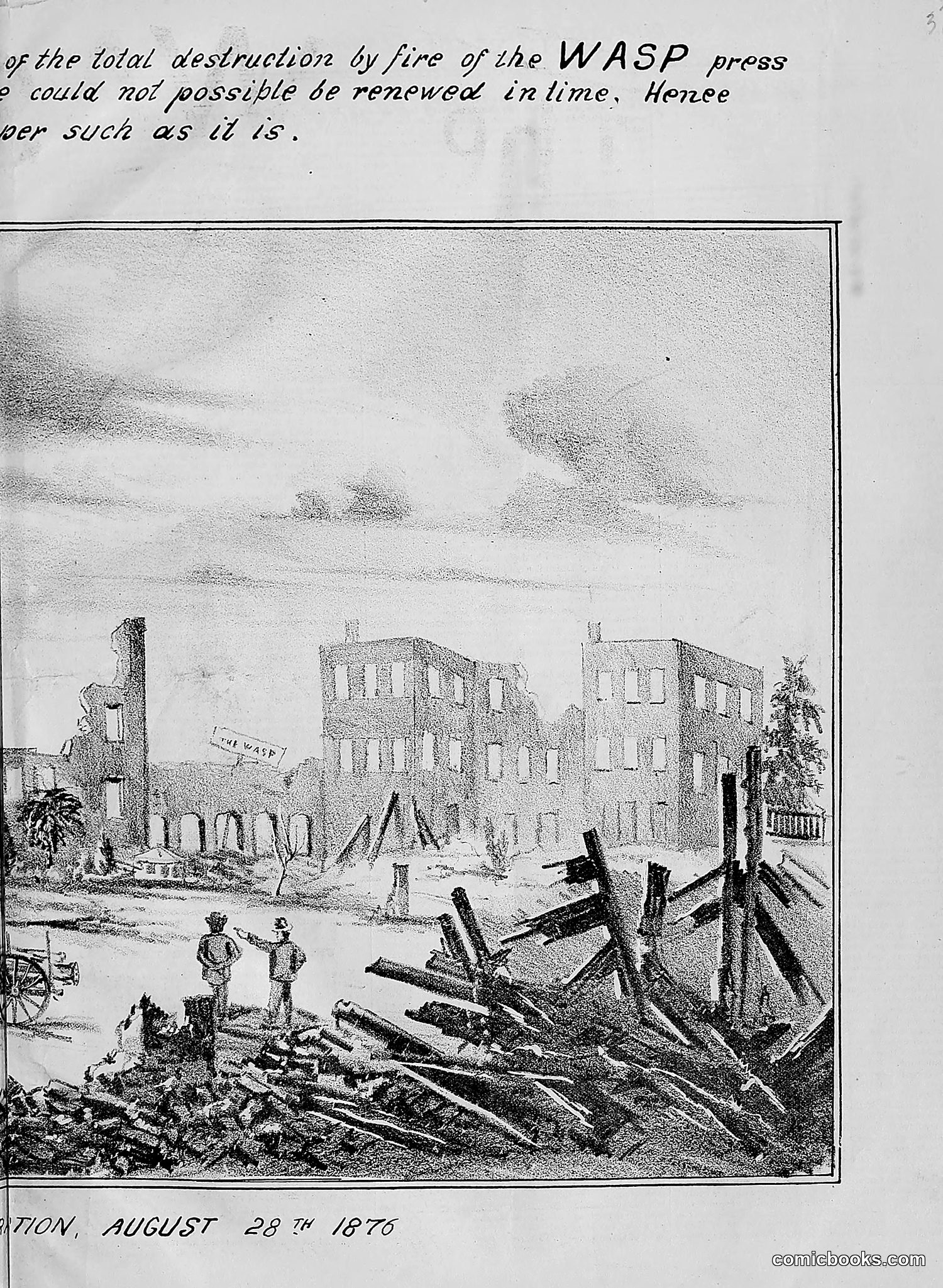 The Wasp — 1876 — page 44 of 230