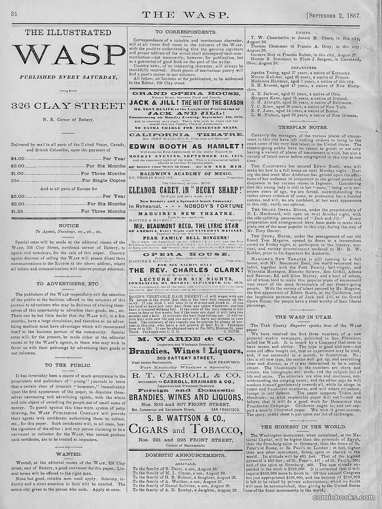 The Wasp — 1876 — page 49 of 230