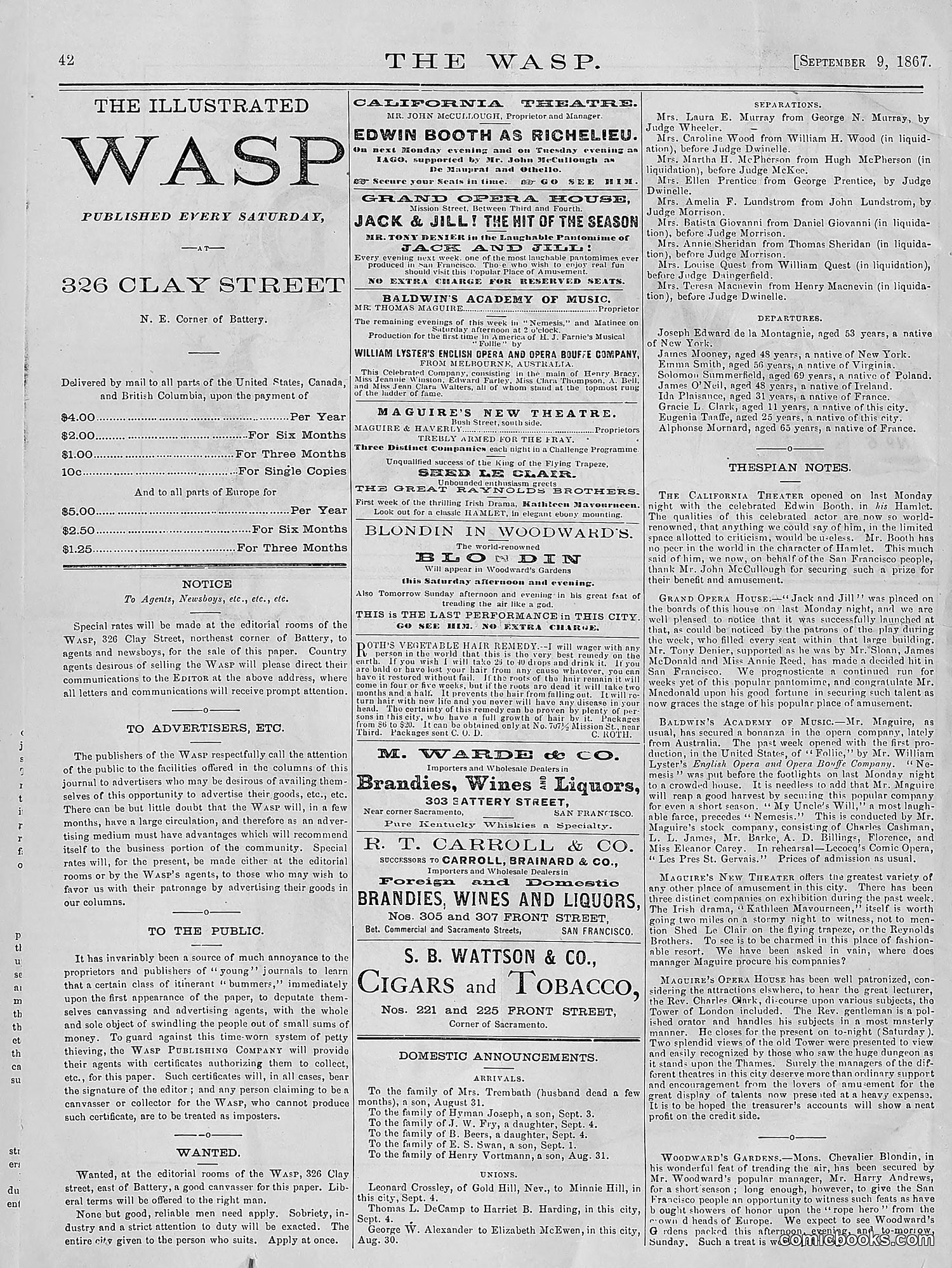 The Wasp — 1876 — page 51 of 230