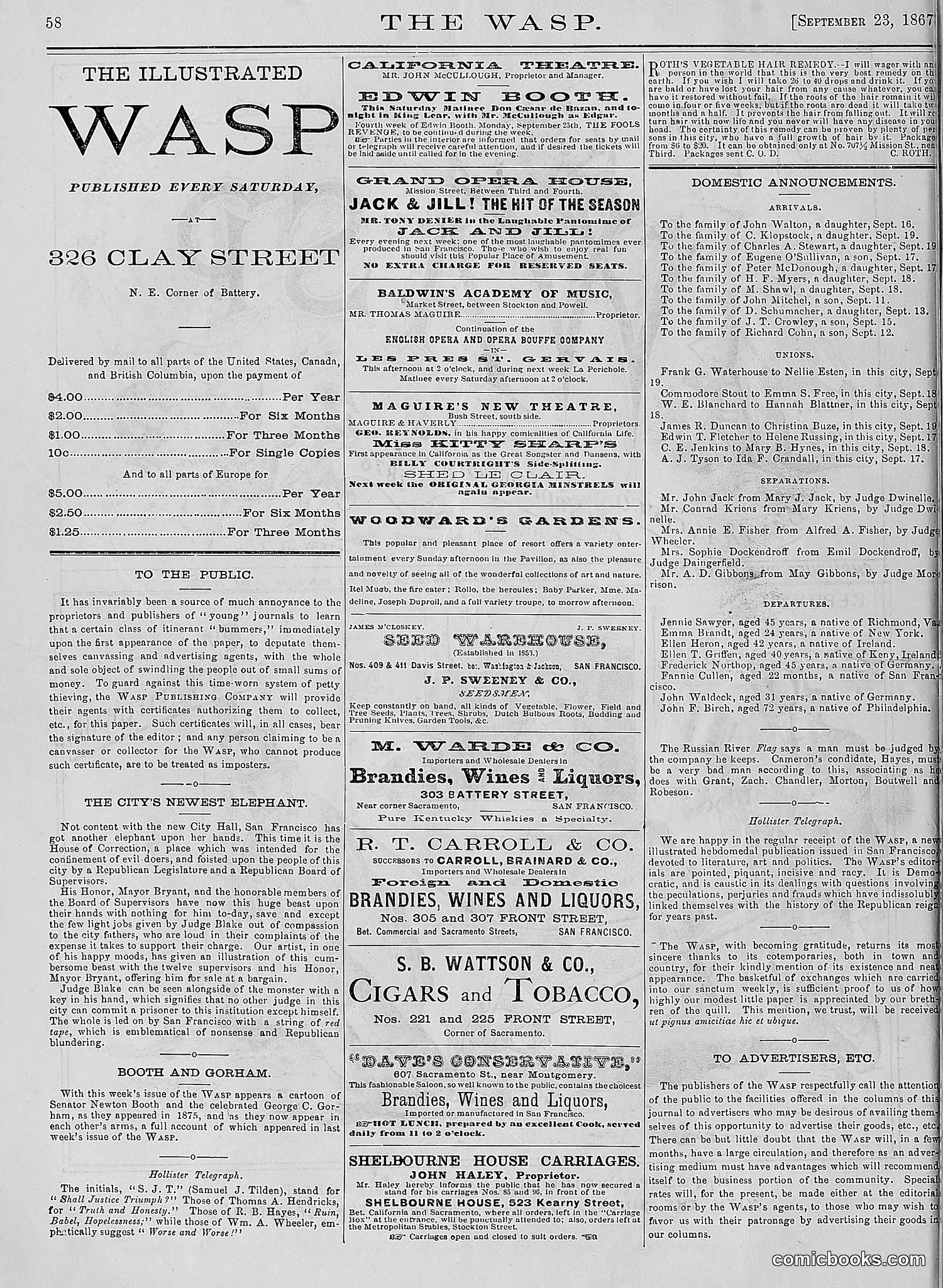 The Wasp — 1876 — page 67 of 230