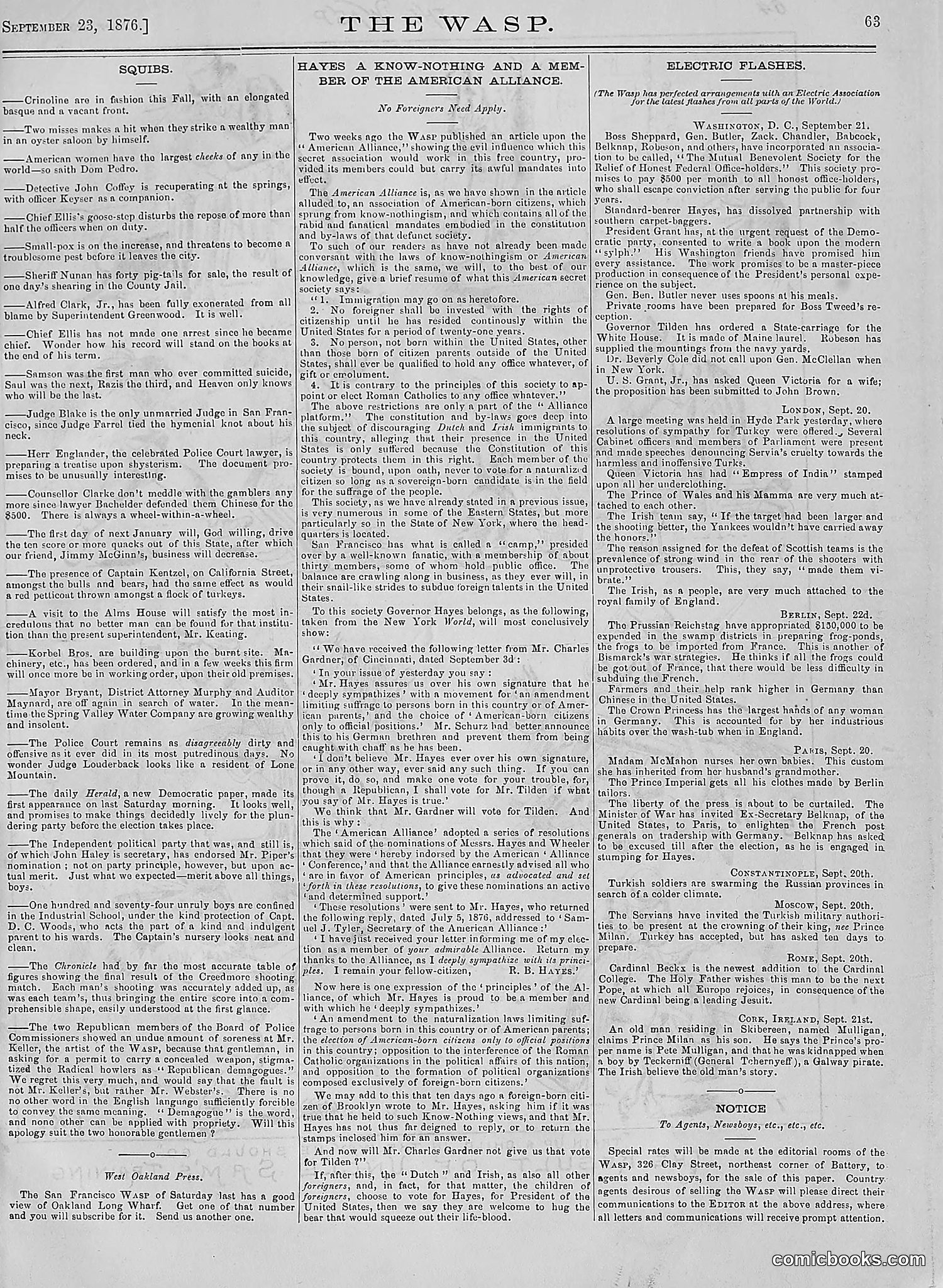 The Wasp — 1876 — page 72 of 230