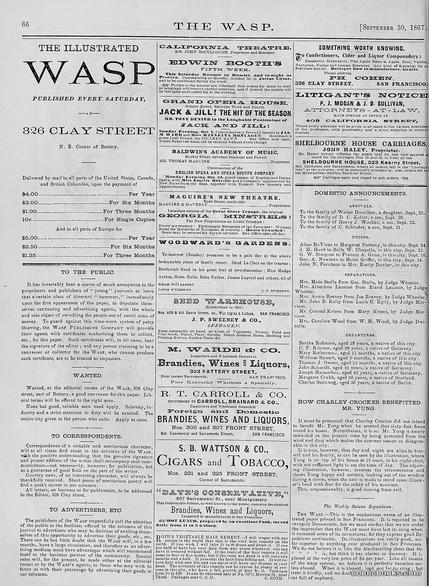 The Wasp — 1876 — page 75 of 230