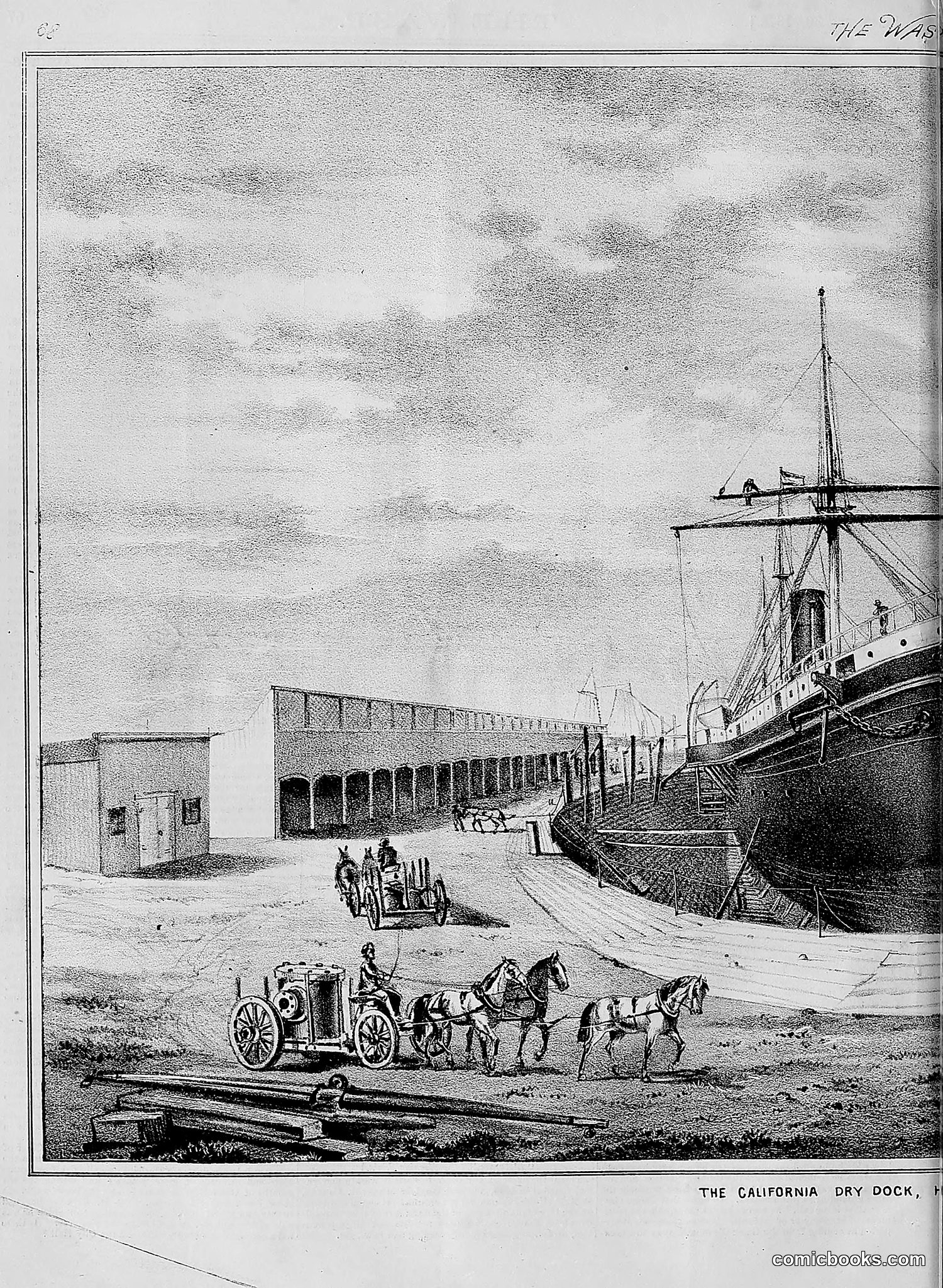 The Wasp — 1876 — page 81 of 230