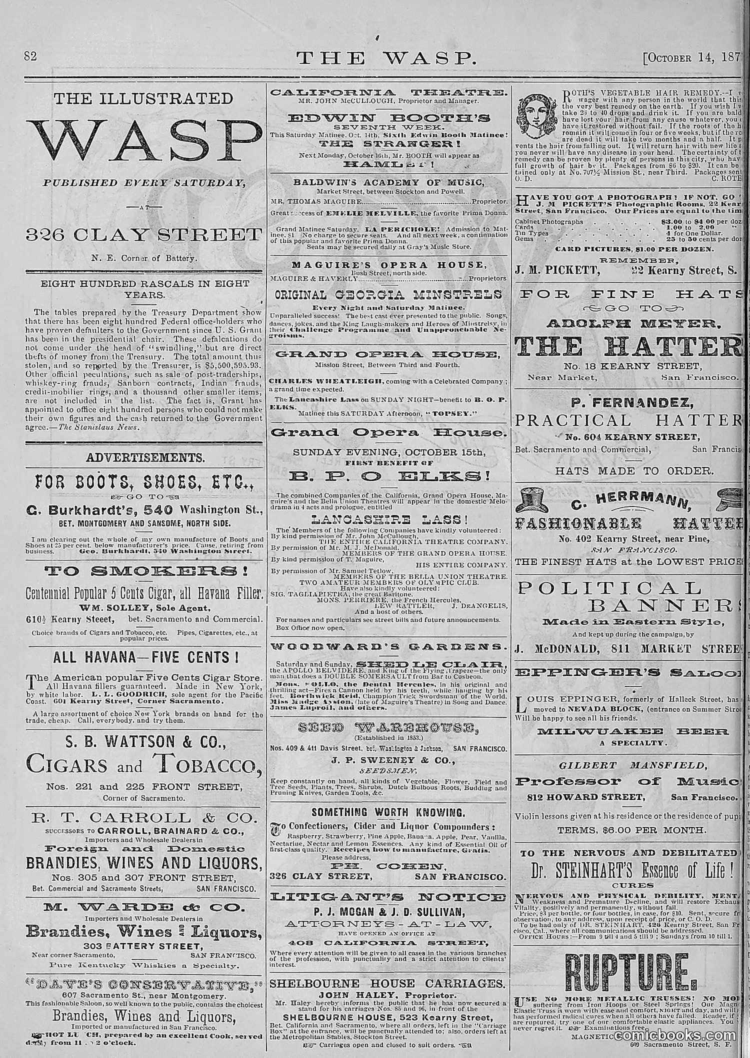 The Wasp — 1876 — page 95 of 230
