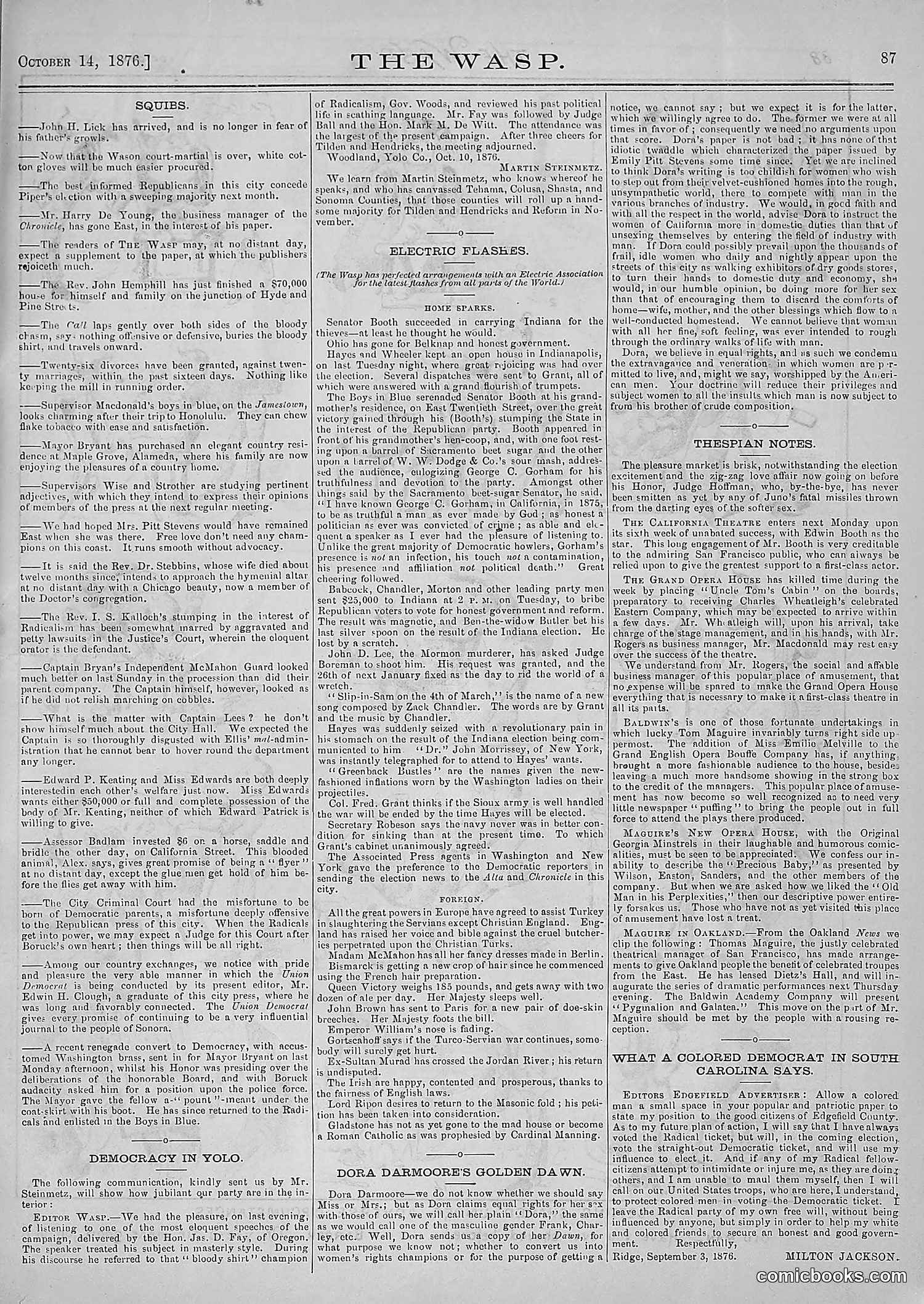 The Wasp — 1876 — page 100 of 230