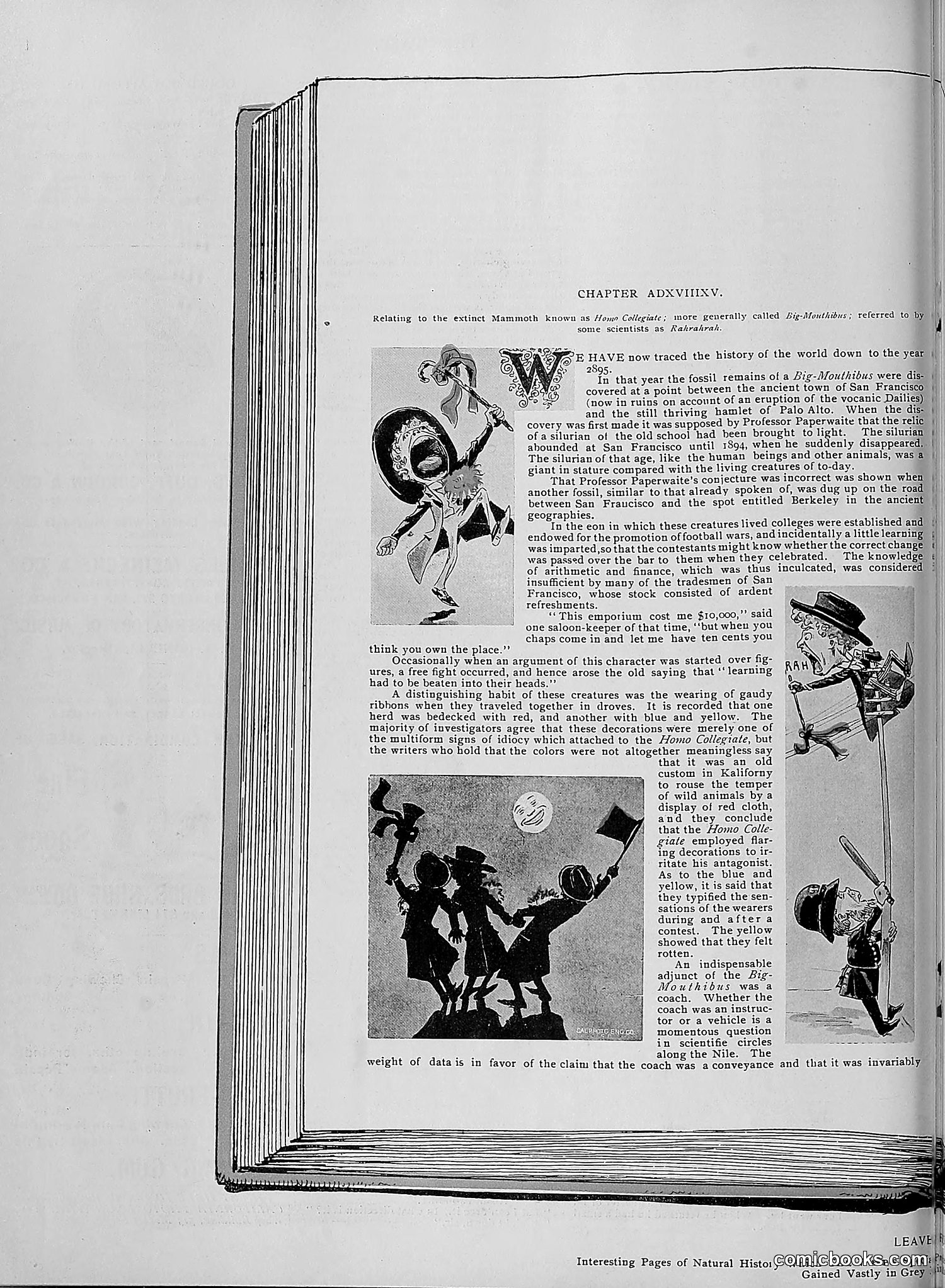 The Wasp — 1895 — page 1007 of 1100