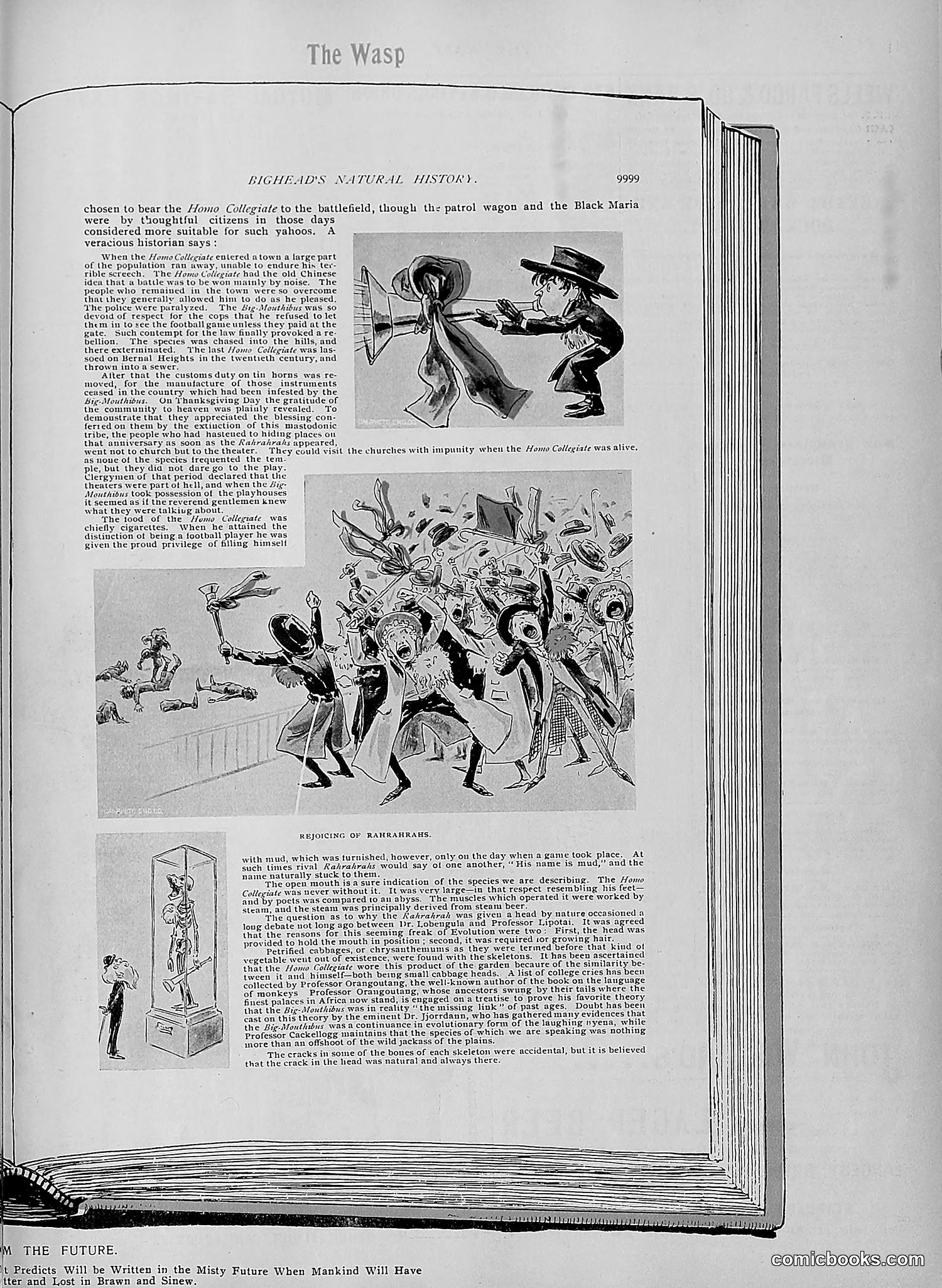 The Wasp — 1895 — page 1008 of 1100