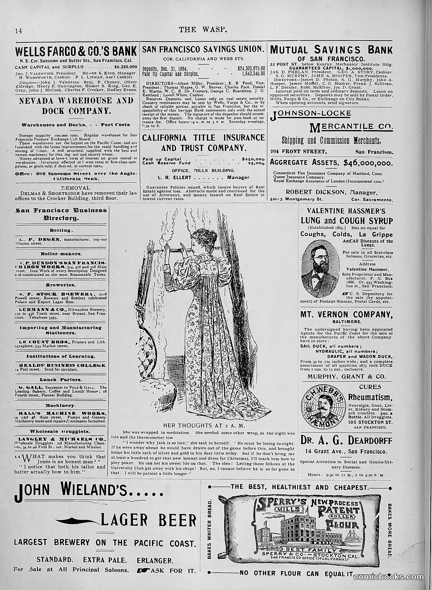 The Wasp — 1895 — page 1009 of 1100