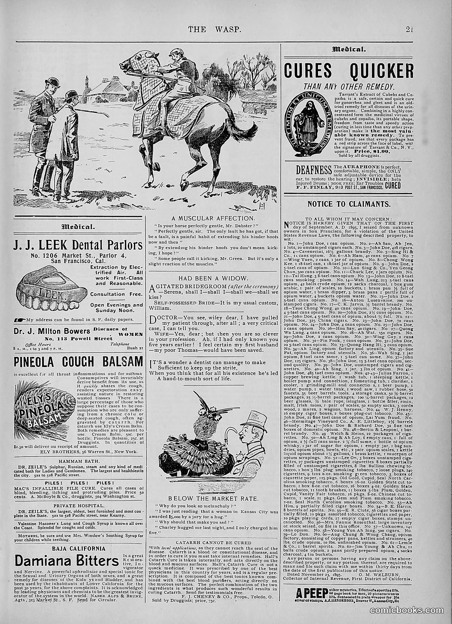 The Wasp — 1895 — page 1016 of 1100