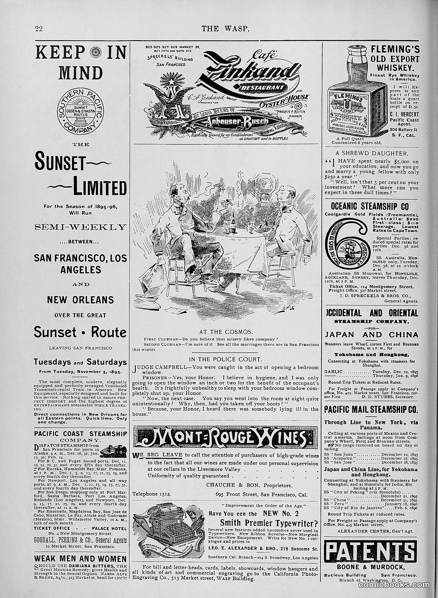 The Wasp — 1895 — page 1017 of 1100
