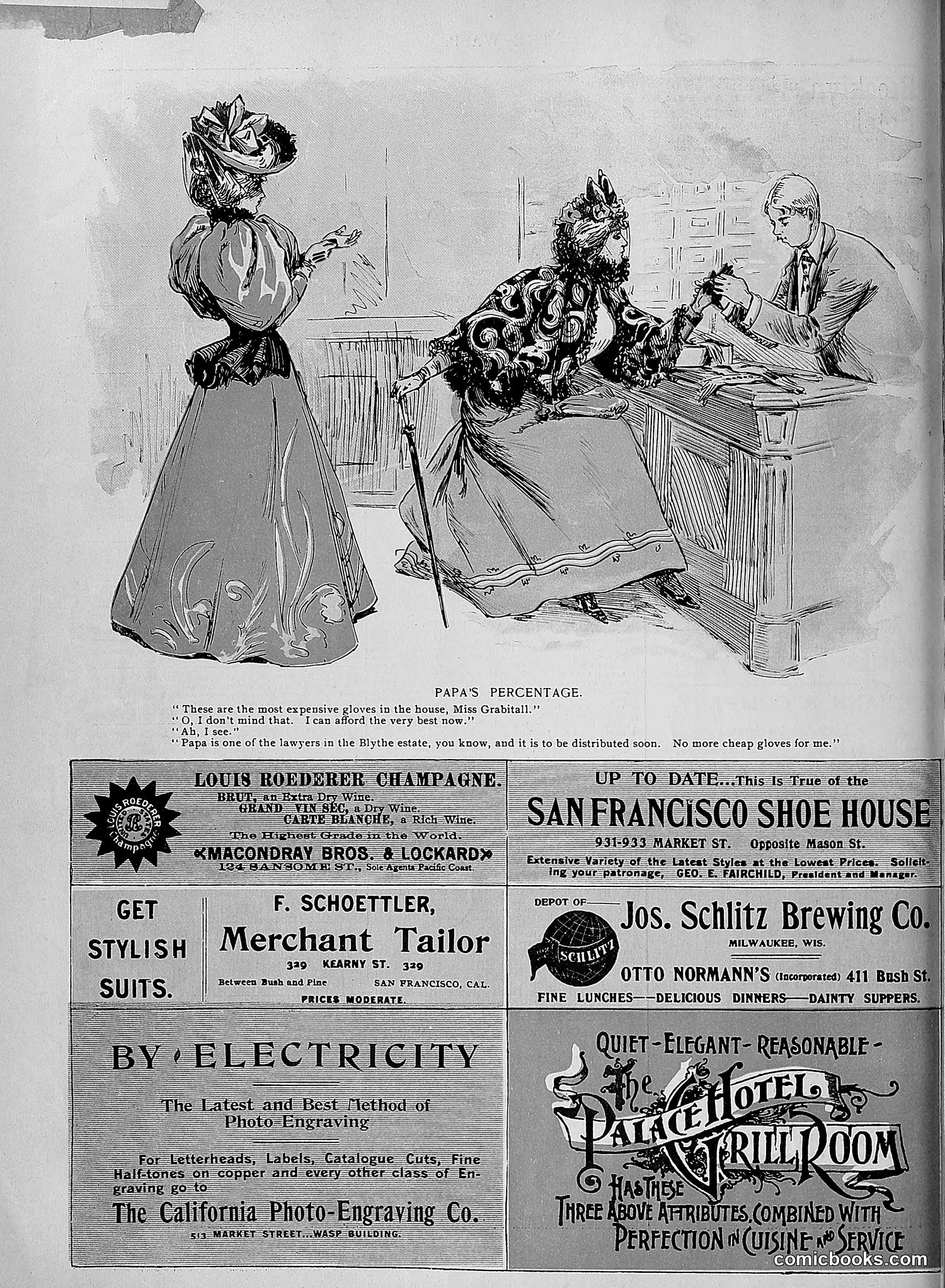 The Wasp — 1895 — page 1019 of 1100