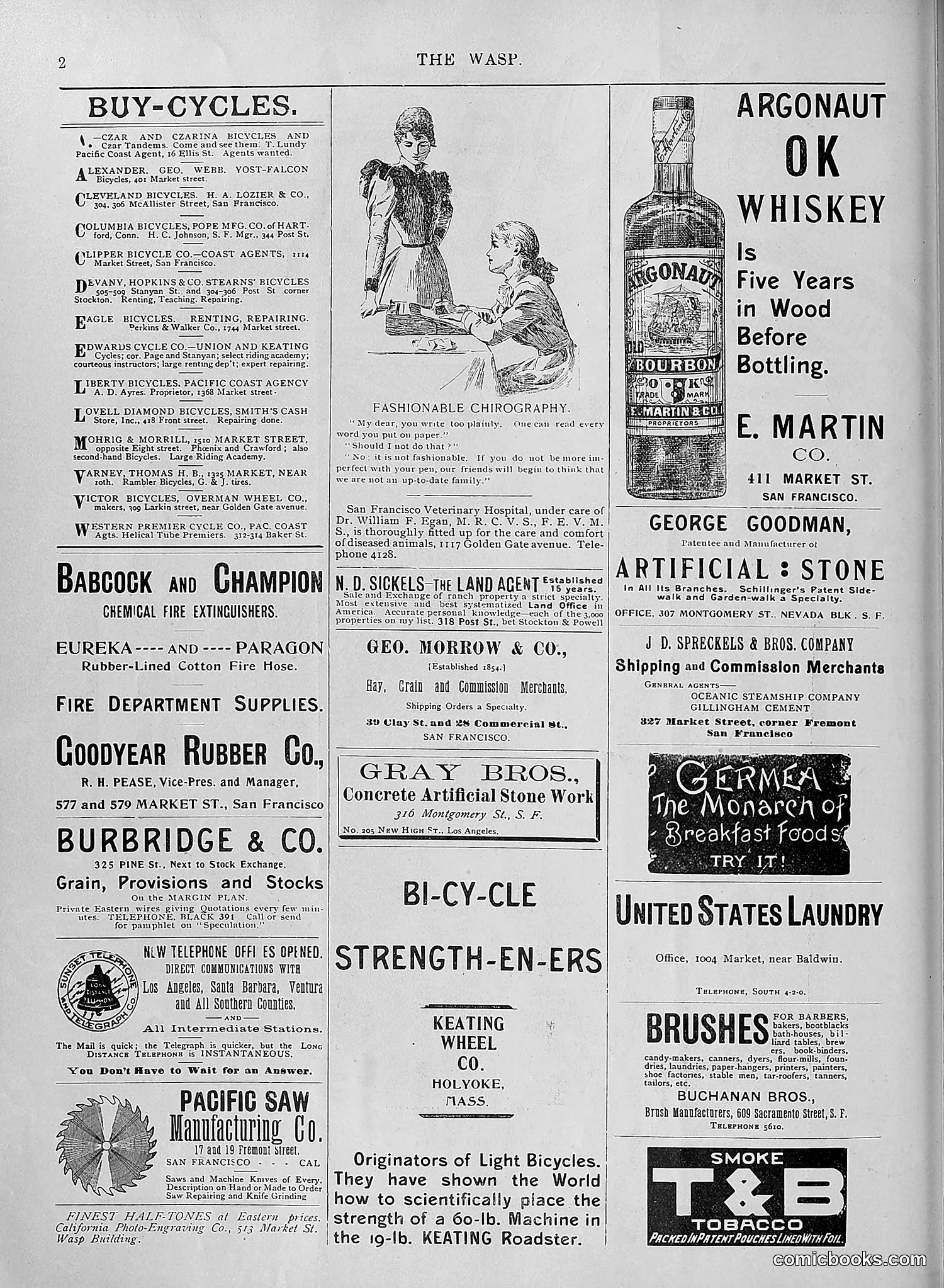 The Wasp — 1895 — page 1021 of 1100