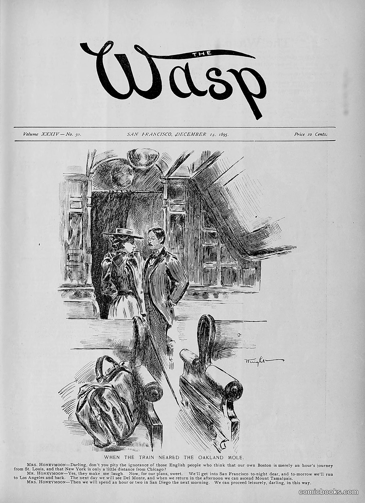 The Wasp — 1895 — page 1022 of 1100
