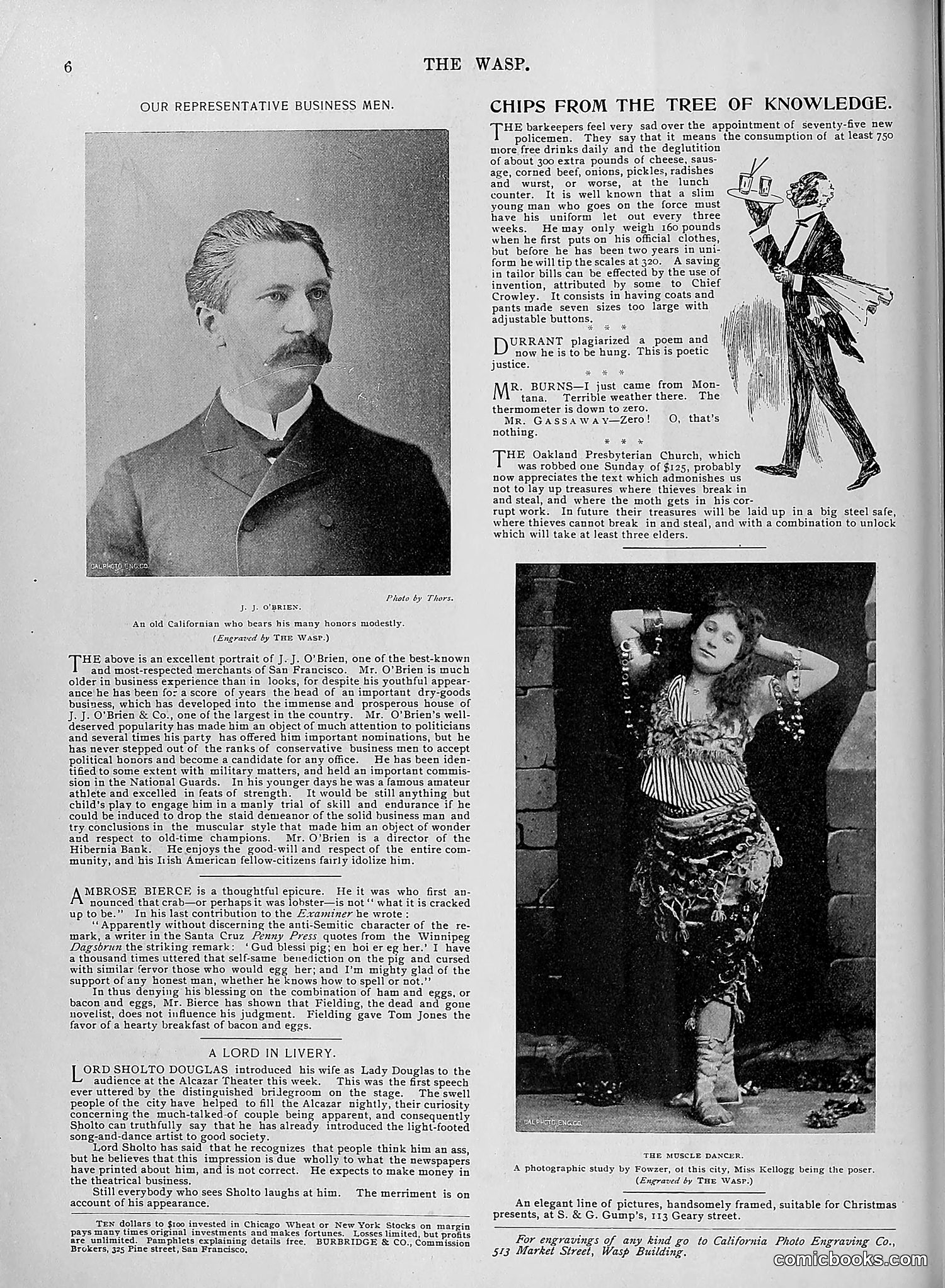 The Wasp — 1895 — page 1025 of 1100