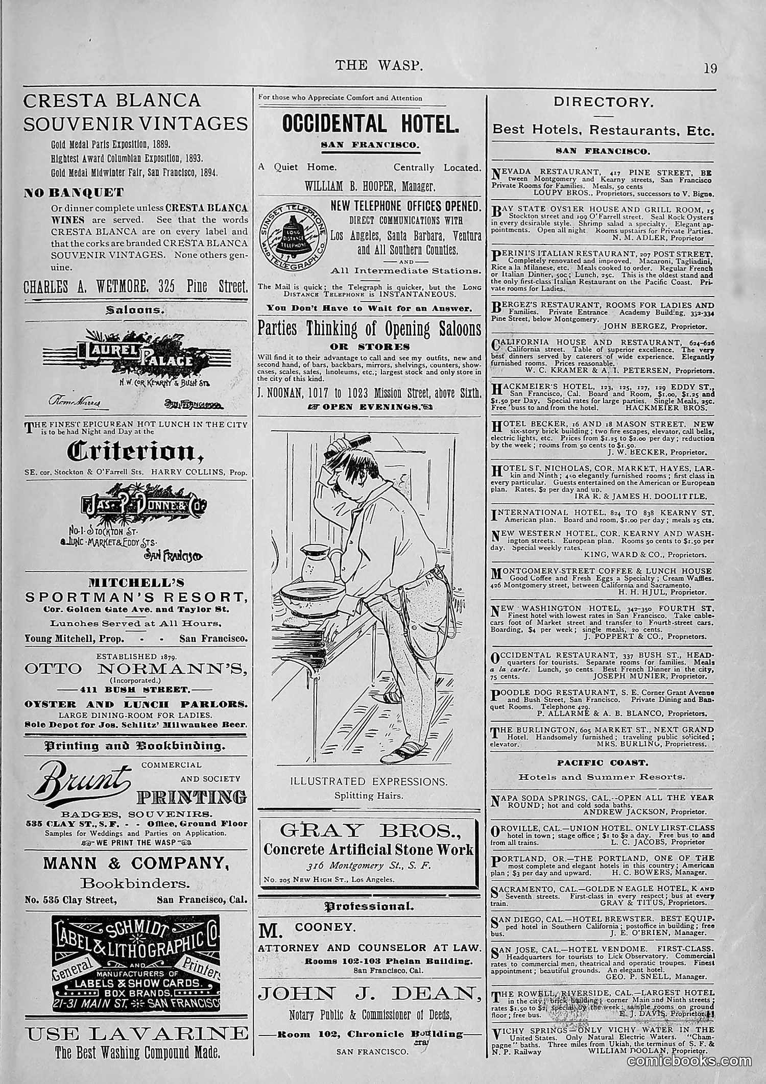 The Wasp — 1895 — page 104 of 1100