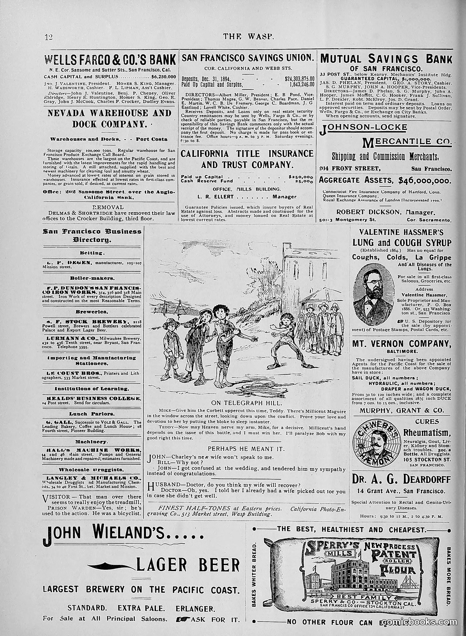 The Wasp — 1895 — page 1031 of 1100