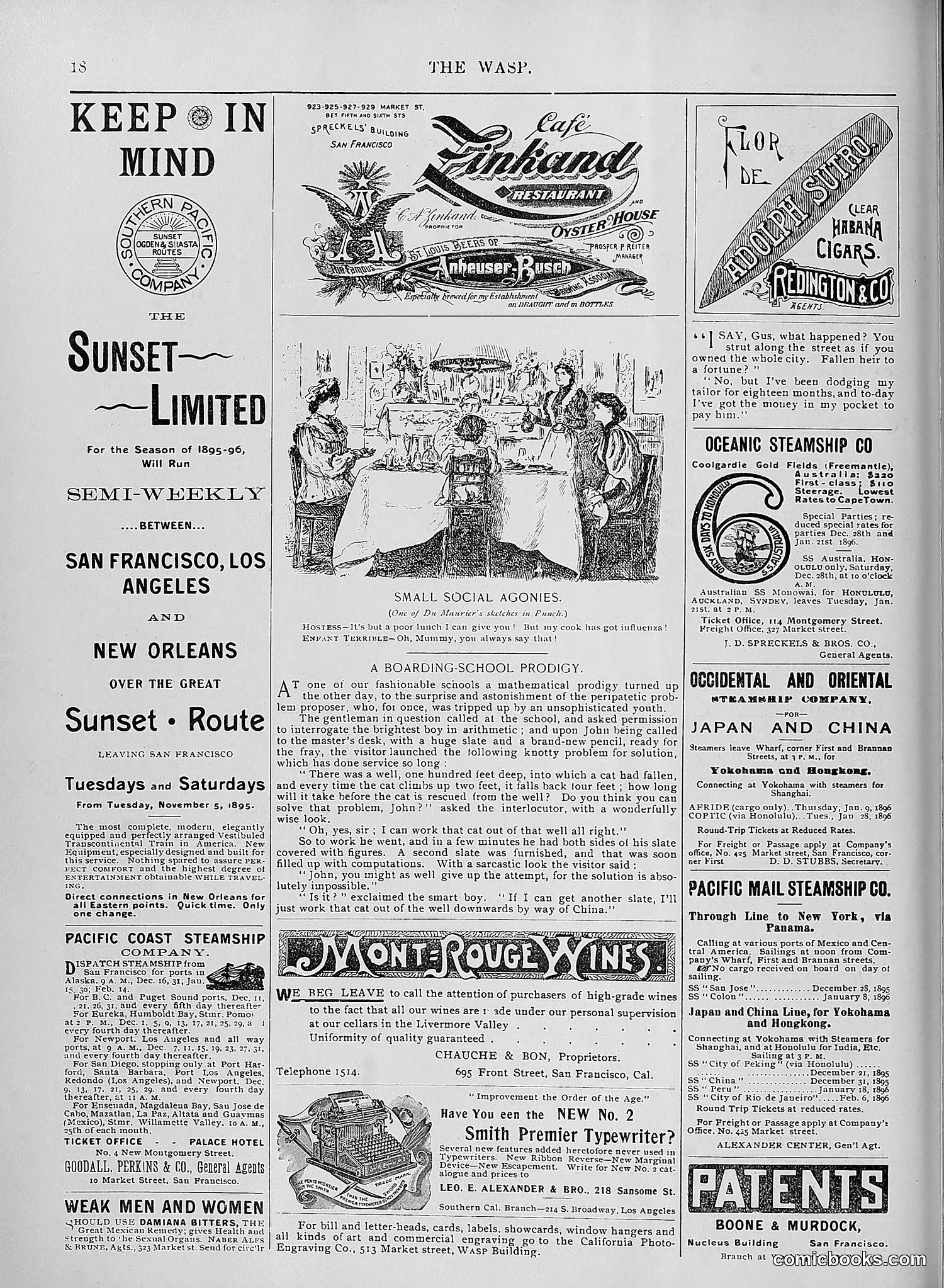 The Wasp — 1895 — page 1037 of 1100