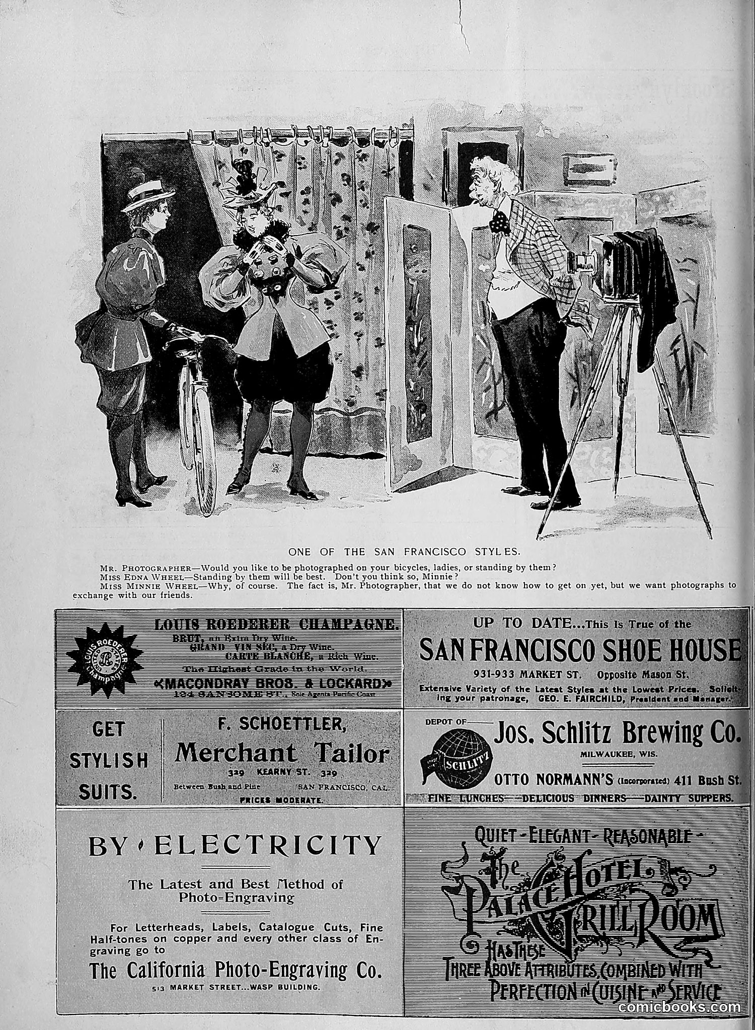 The Wasp — 1895 — page 1039 of 1100