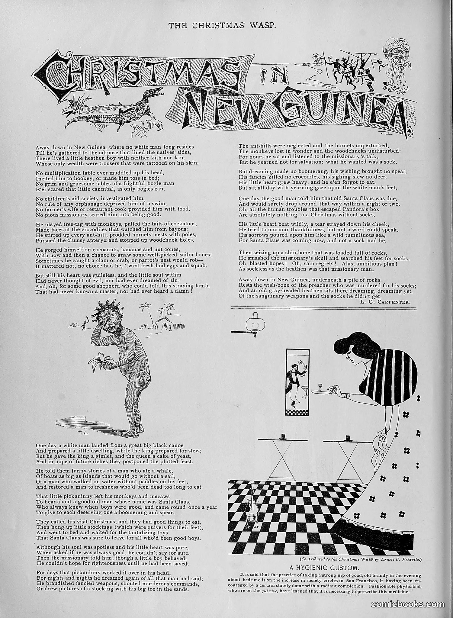 The Wasp — 1895 — page 1043 of 1100