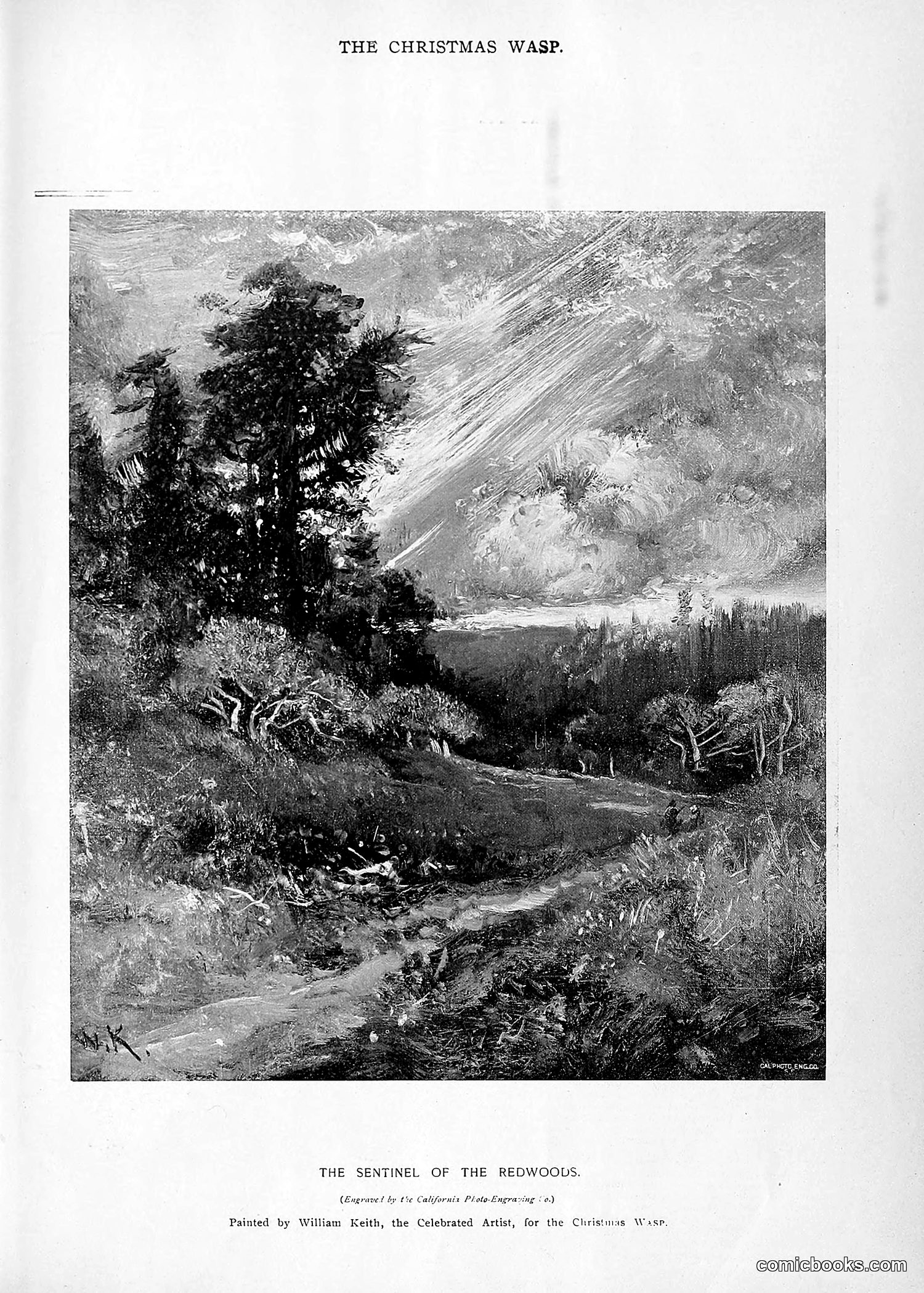 The Wasp — 1895 — page 1046 of 1100