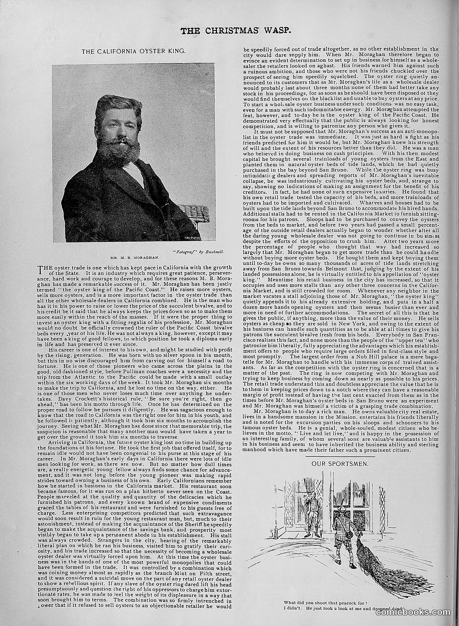 The Wasp — 1895 — page 1055 of 1100