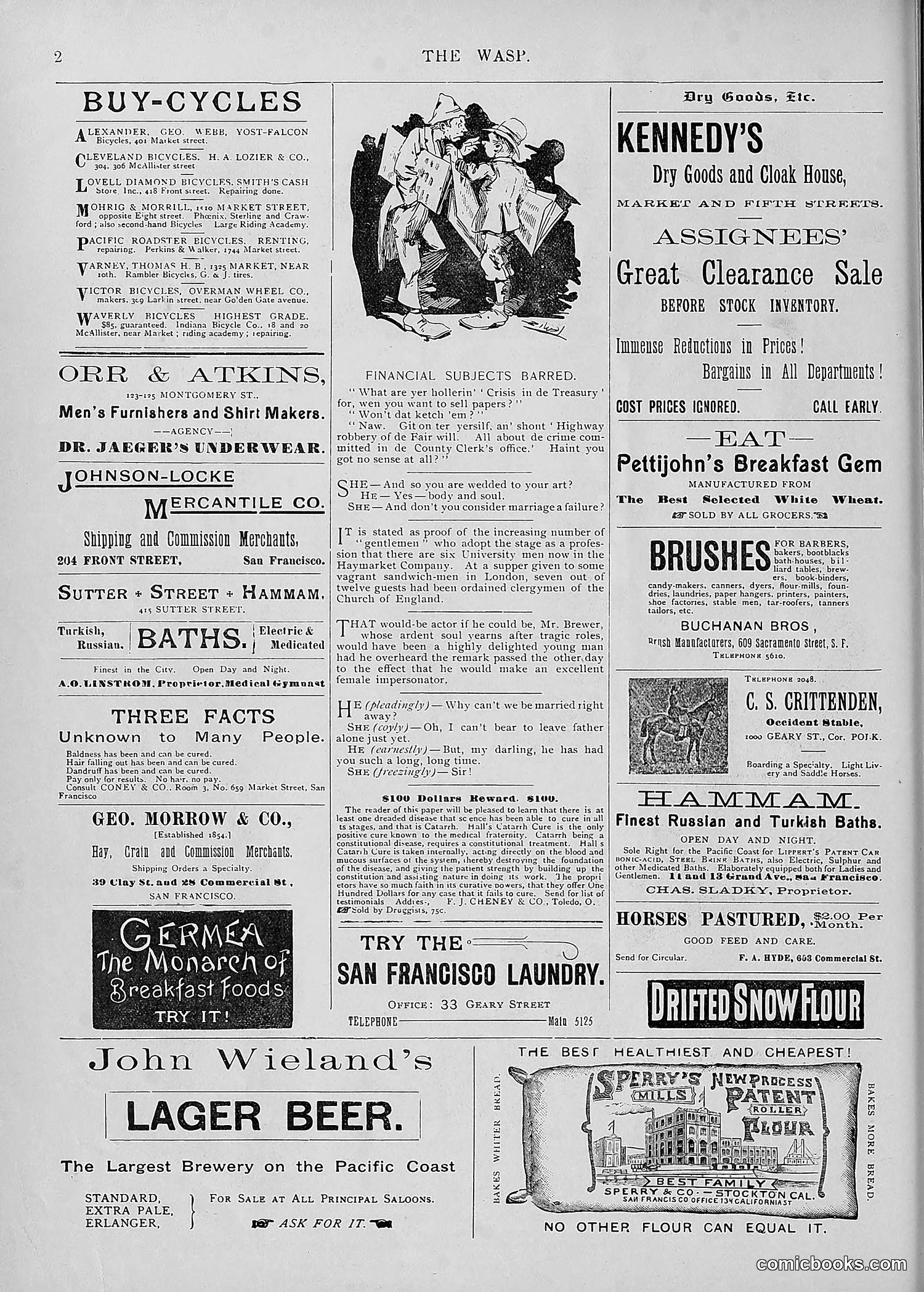 The Wasp — 1895 — page 107 of 1100