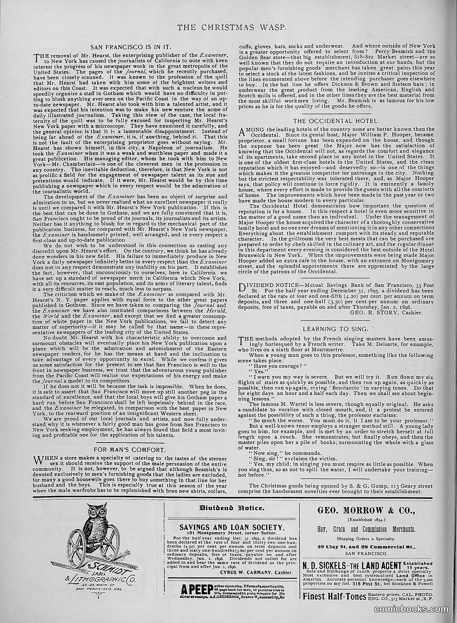 The Wasp — 1895 — page 1063 of 1100