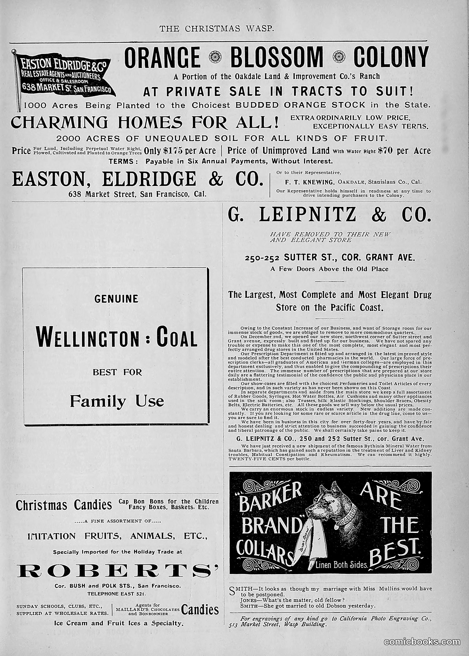 The Wasp — 1895 — page 1070 of 1100