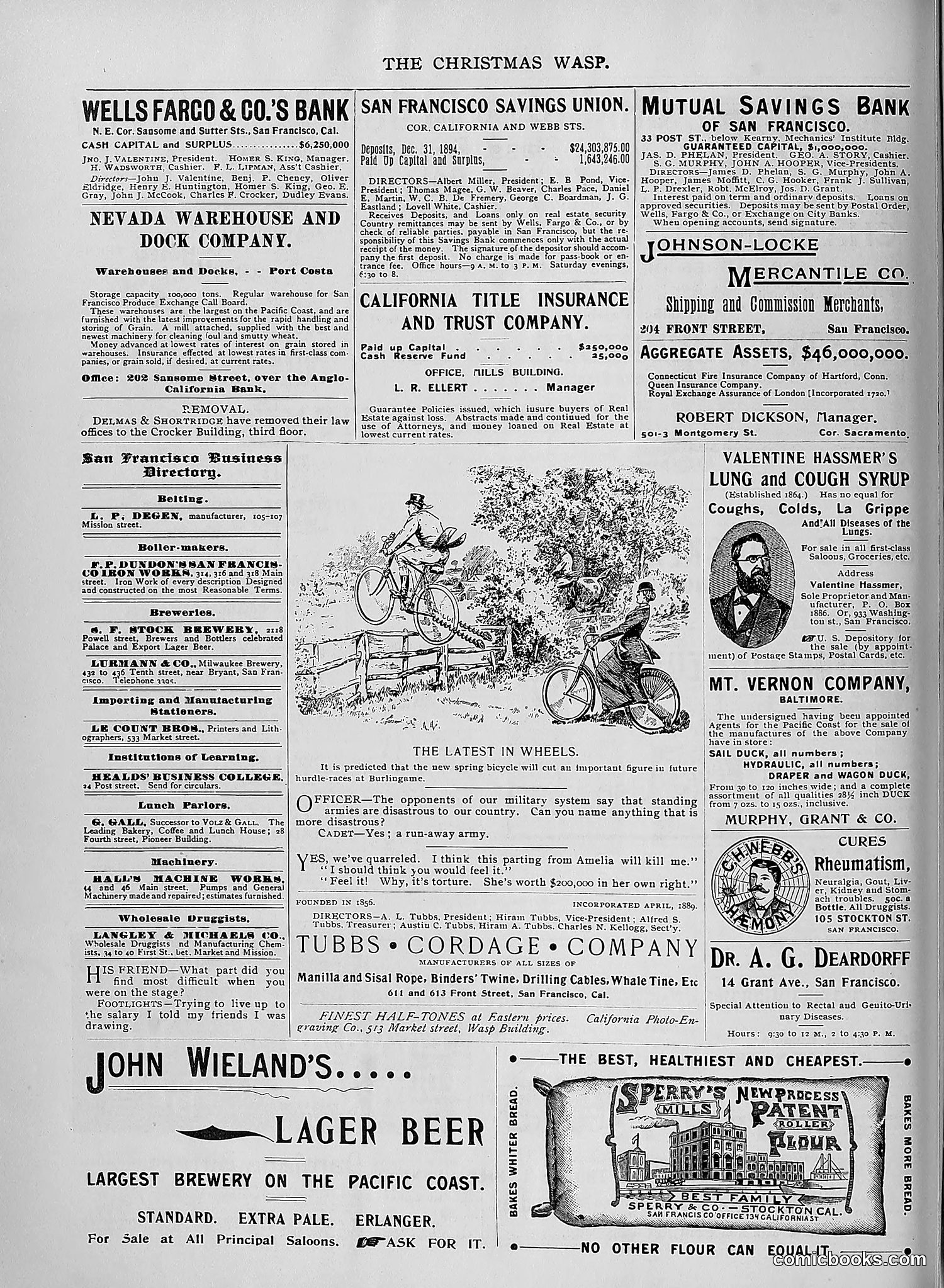 The Wasp — 1895 — page 1071 of 1100