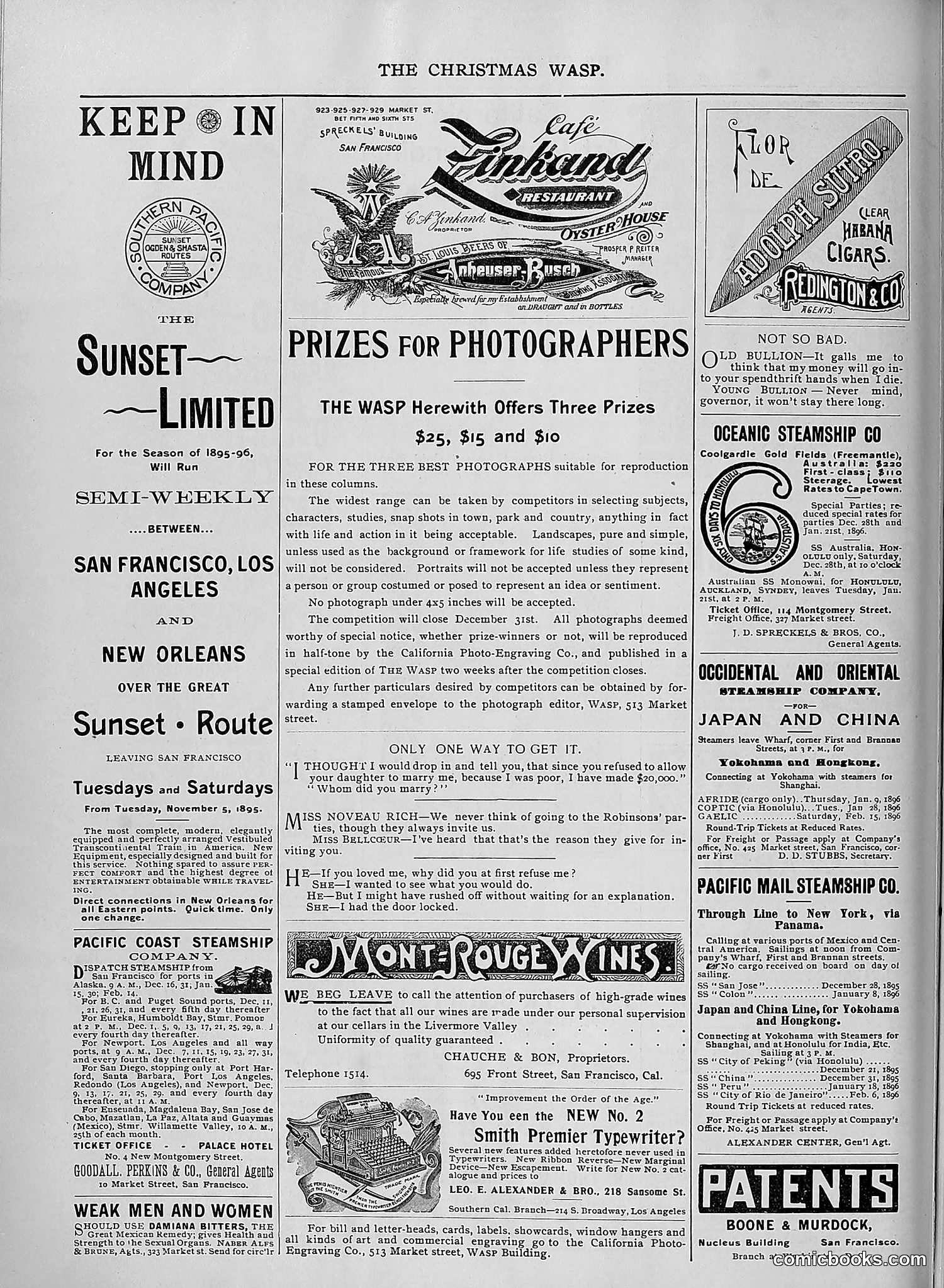 The Wasp — 1895 — page 1073 of 1100