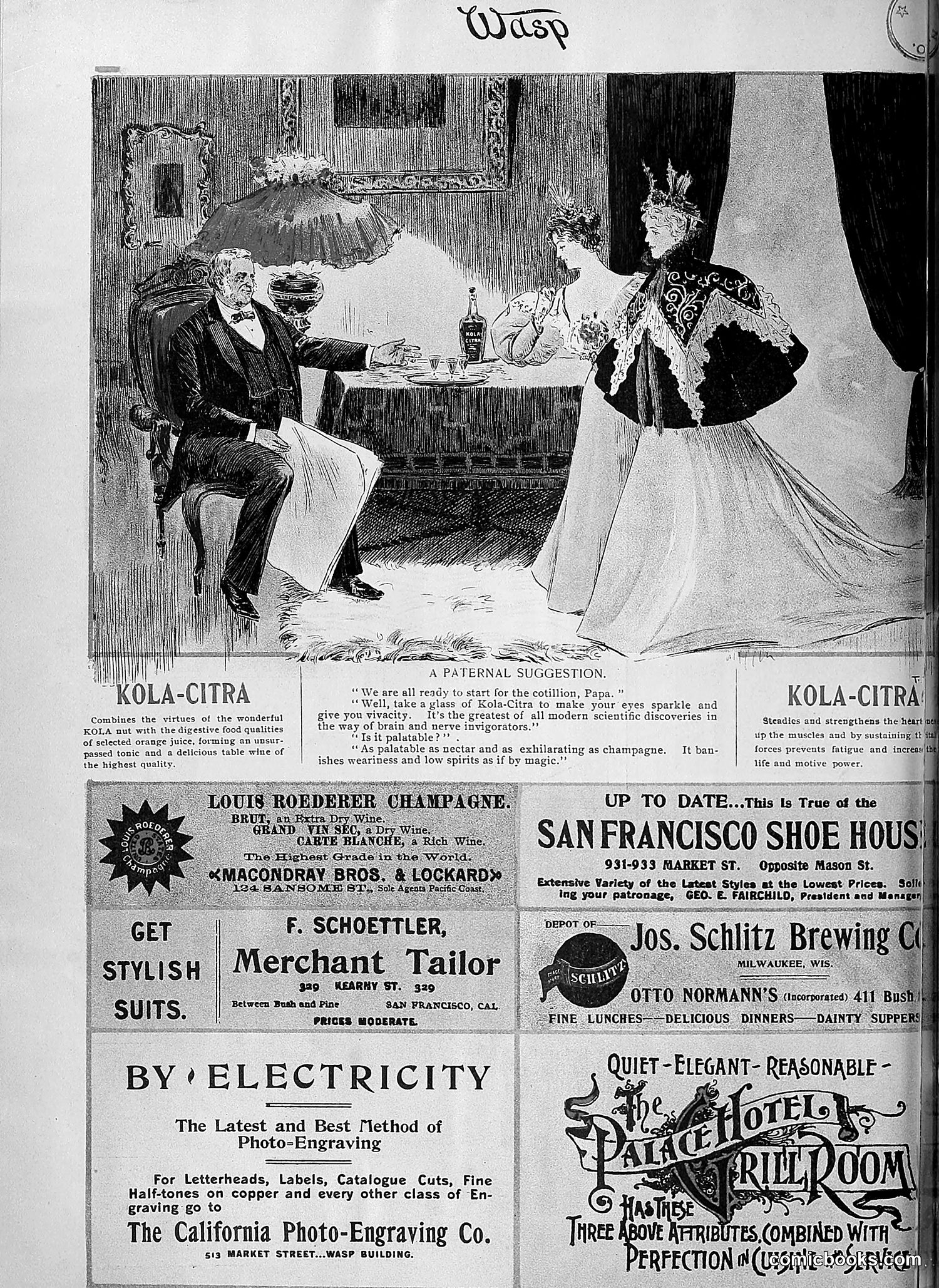 The Wasp — 1895 — page 1075 of 1100