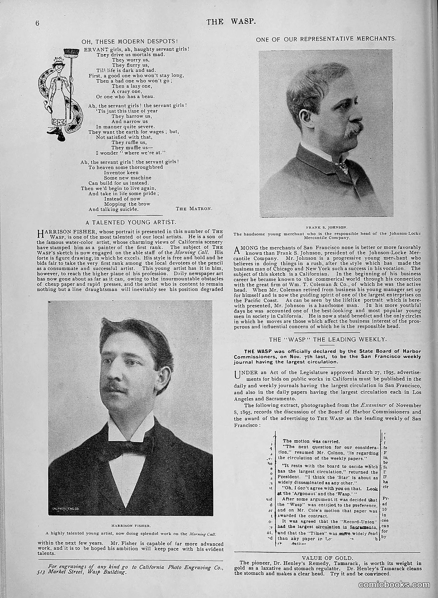 The Wasp — 1895 — page 1081 of 1100
