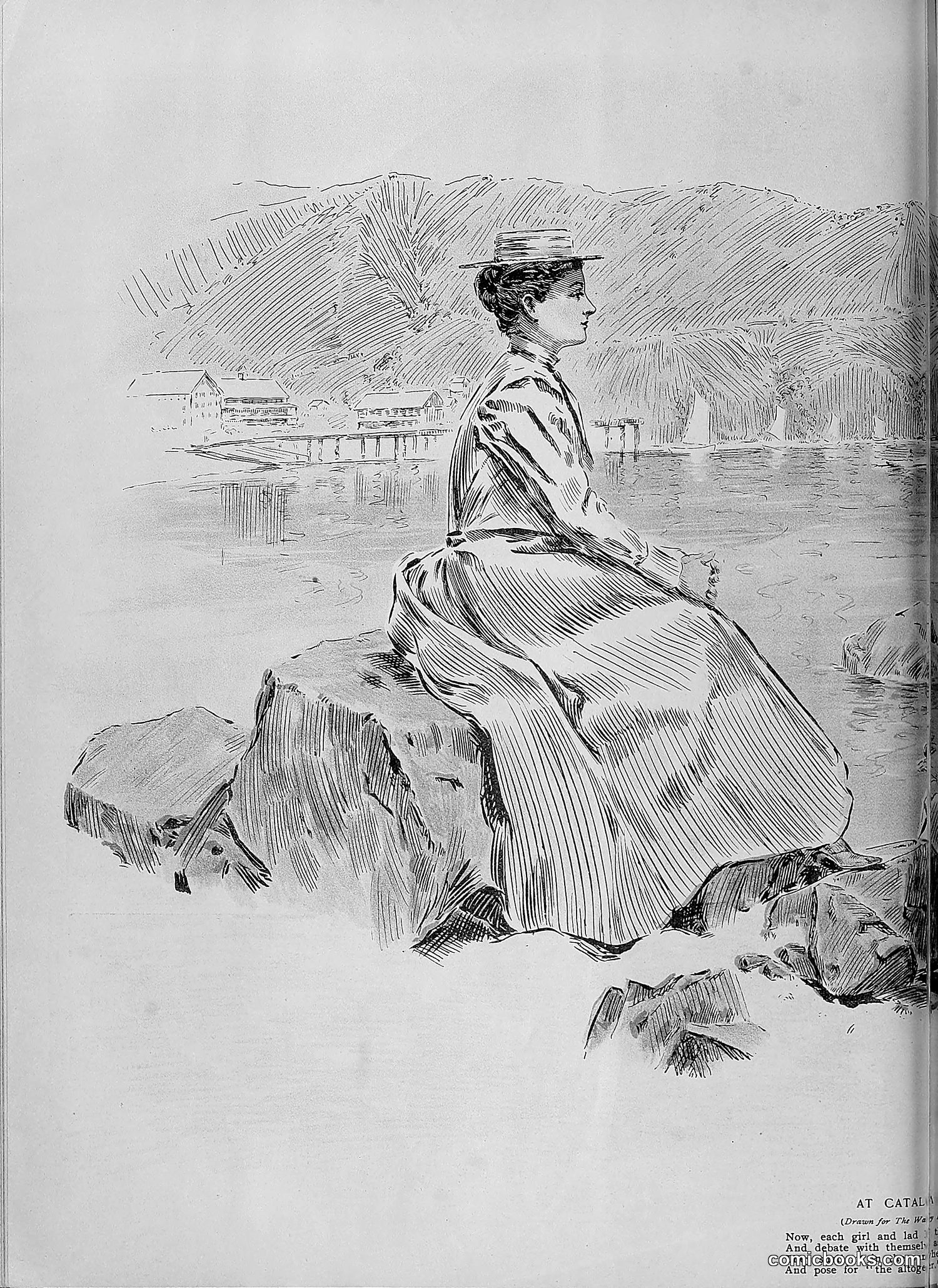The Wasp — 1895 — page 1085 of 1100