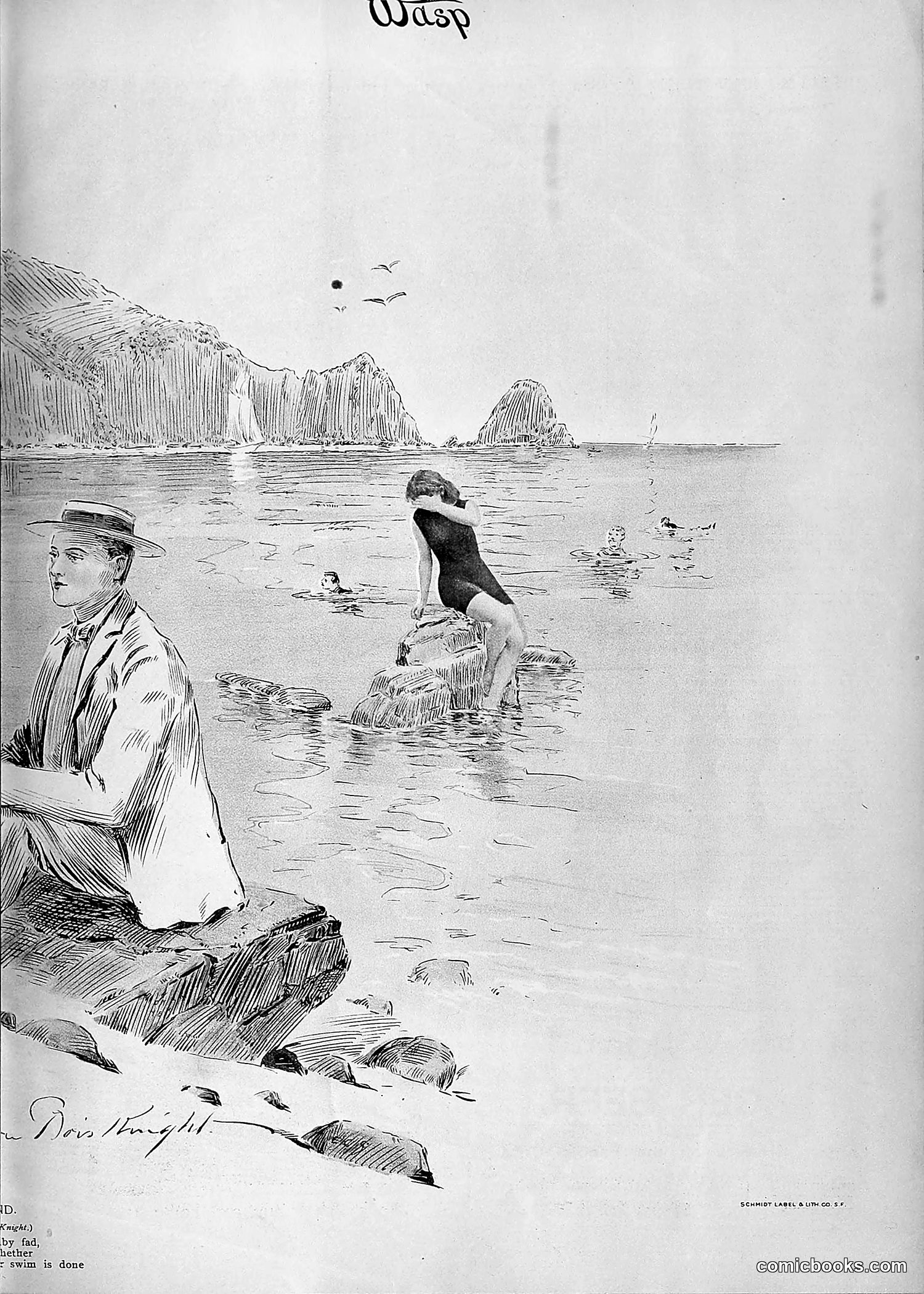 The Wasp — 1895 — page 1086 of 1100