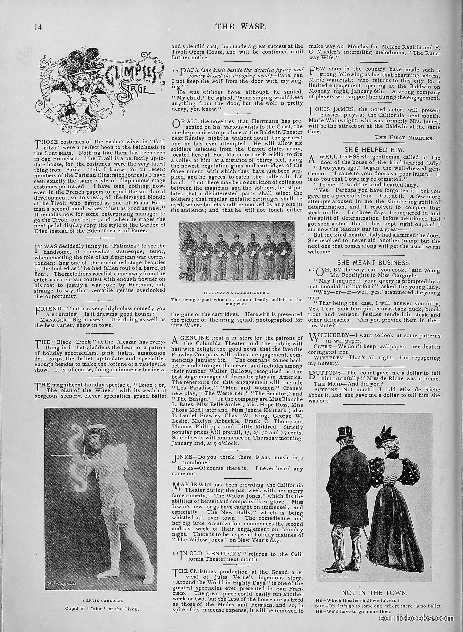 The Wasp — 1895 — page 1089 of 1100
