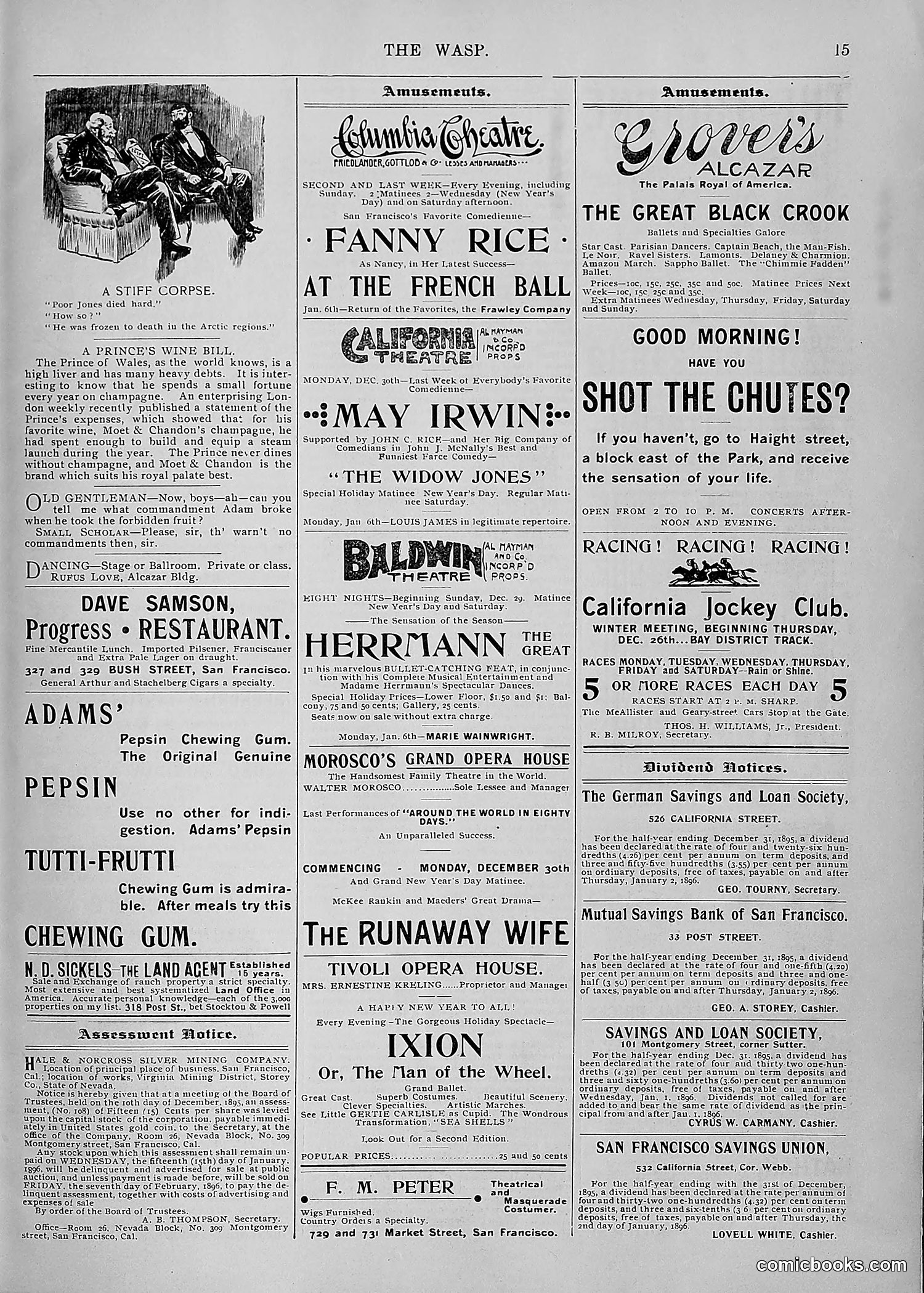 The Wasp — 1895 — page 1090 of 1100