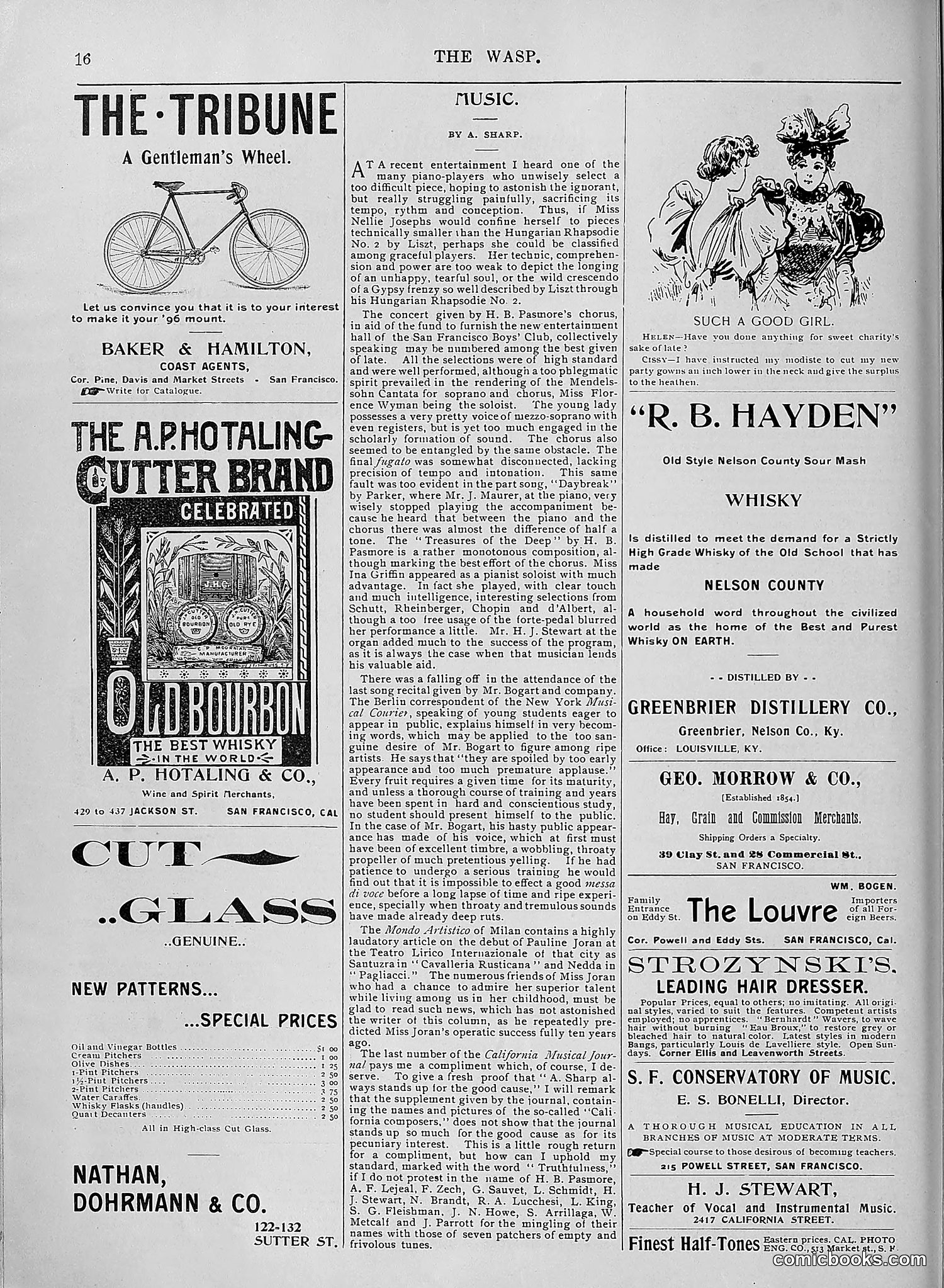 The Wasp — 1895 — page 1091 of 1100