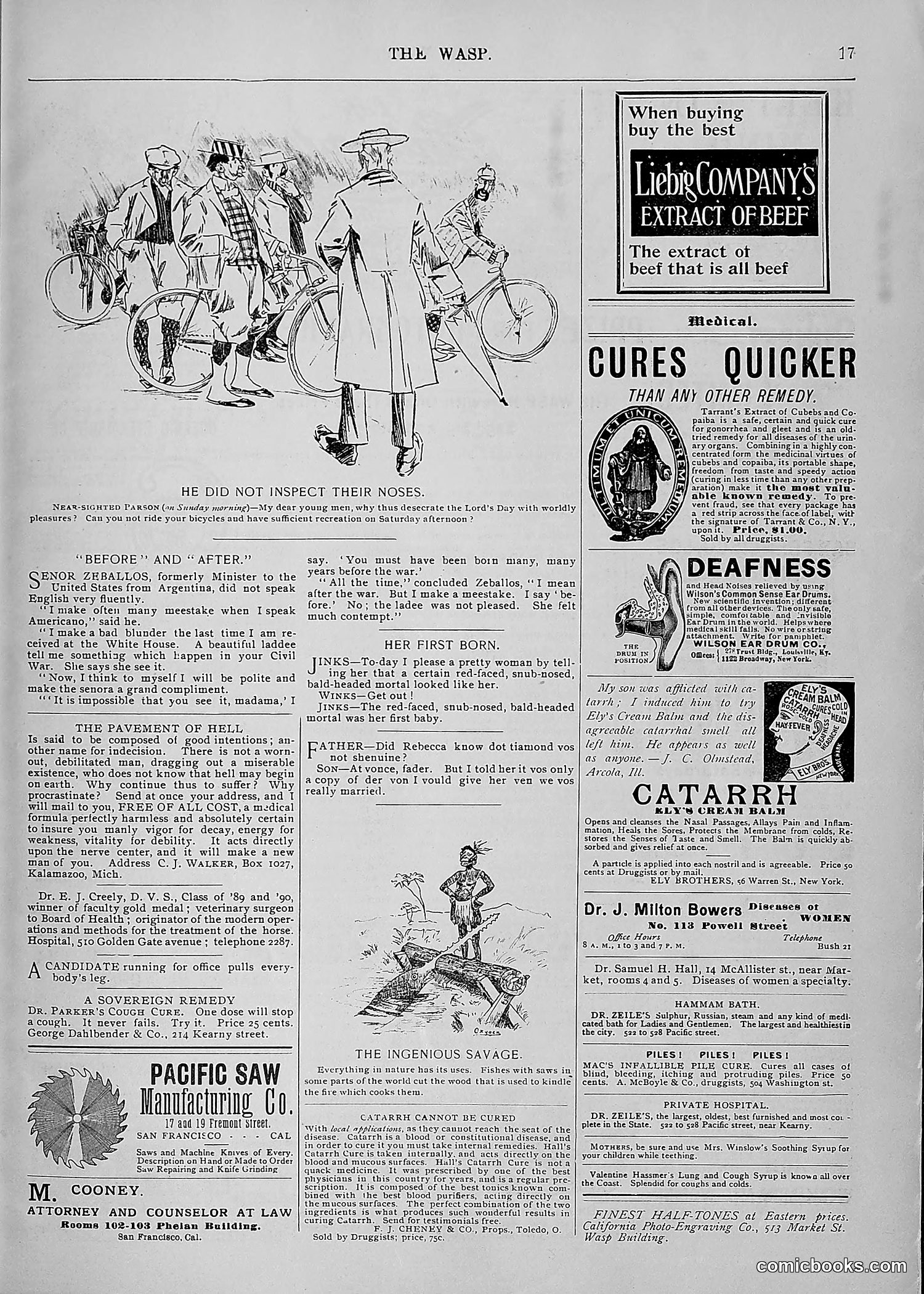 The Wasp — 1895 — page 1092 of 1100