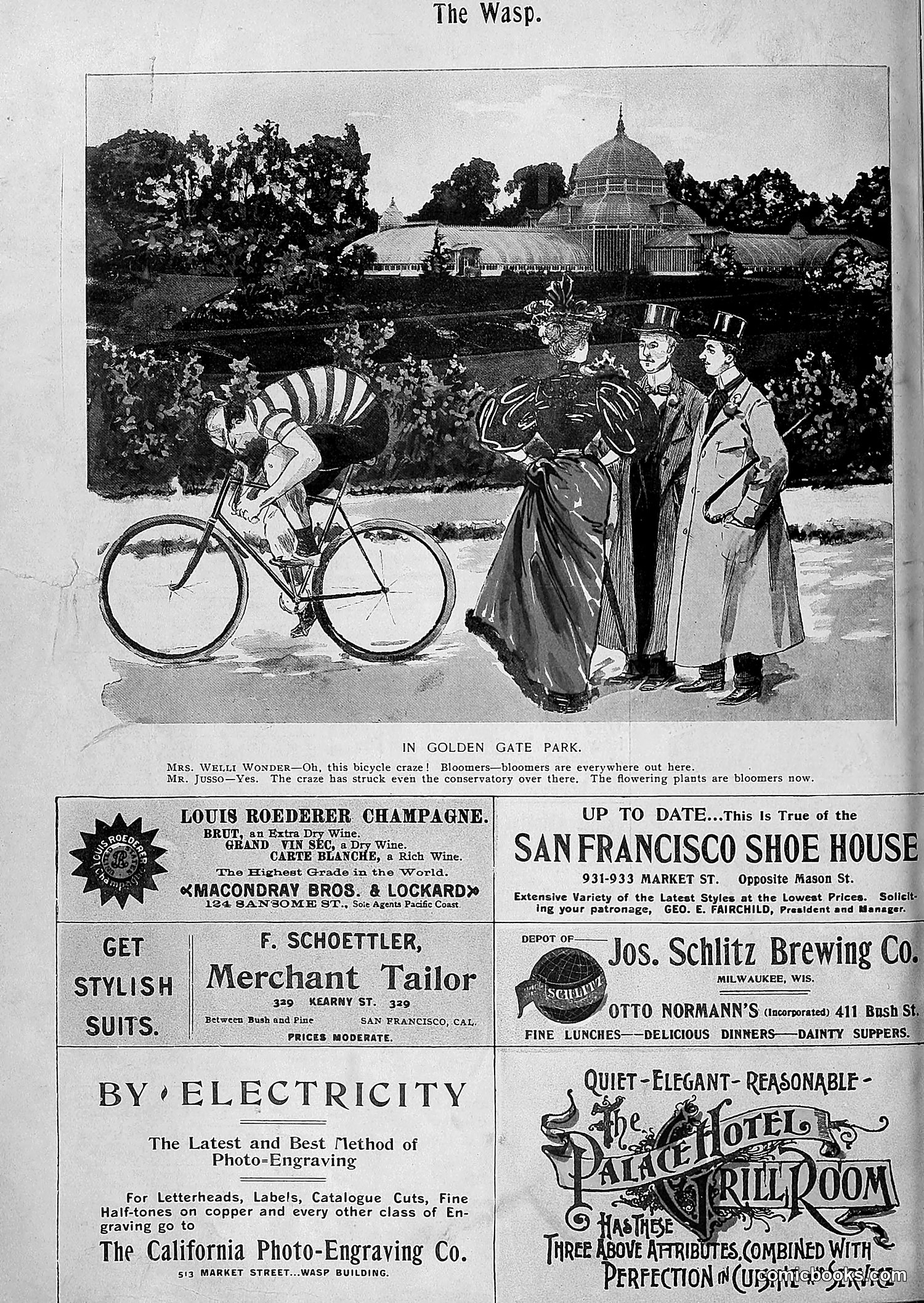 The Wasp — 1895 — page 1095 of 1100