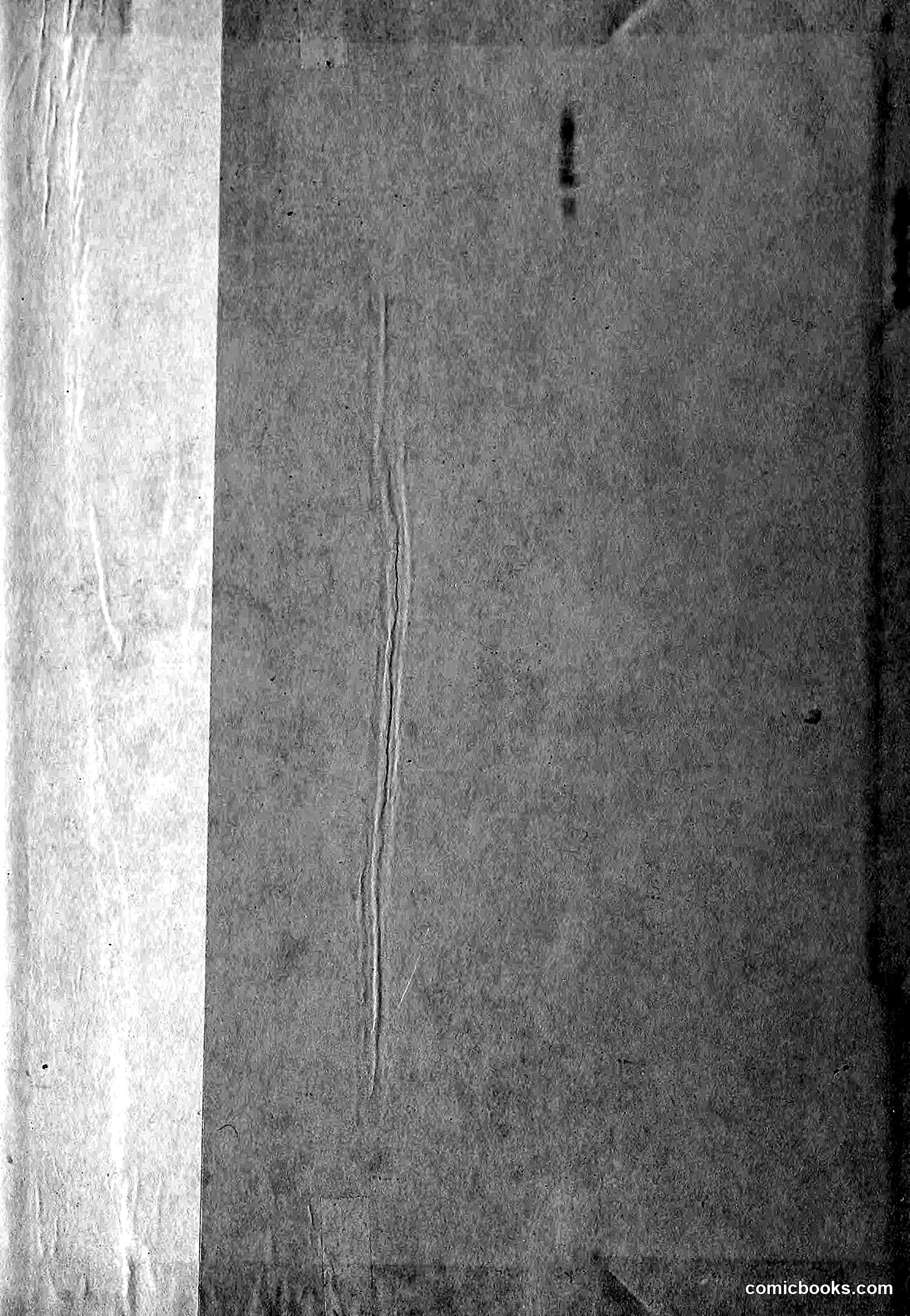 The Wasp — 1895 — page 1100 of 1100