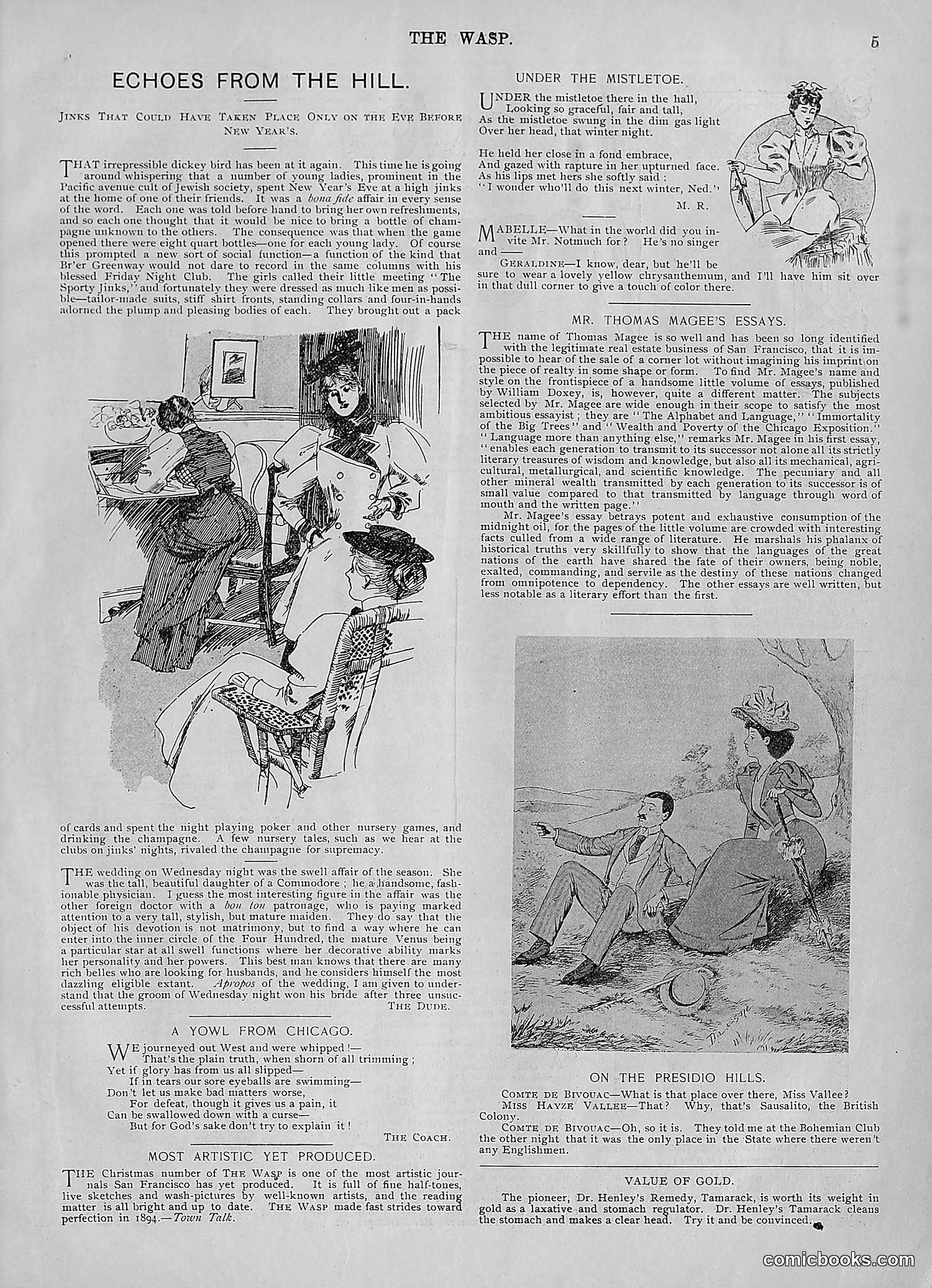 The Wasp — 1895 — page 12 of 1100
