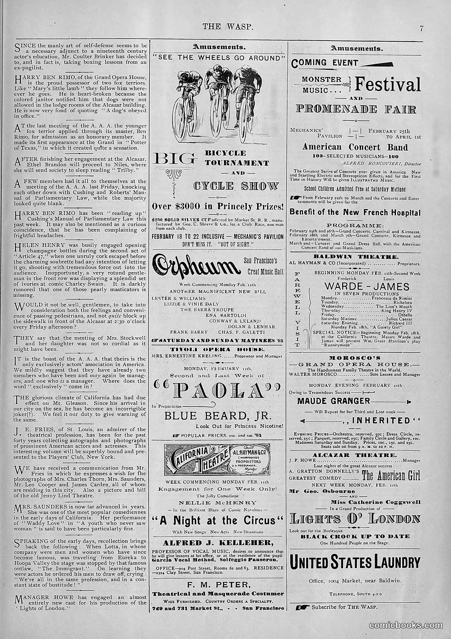 The Wasp — 1895 — page 112 of 1100