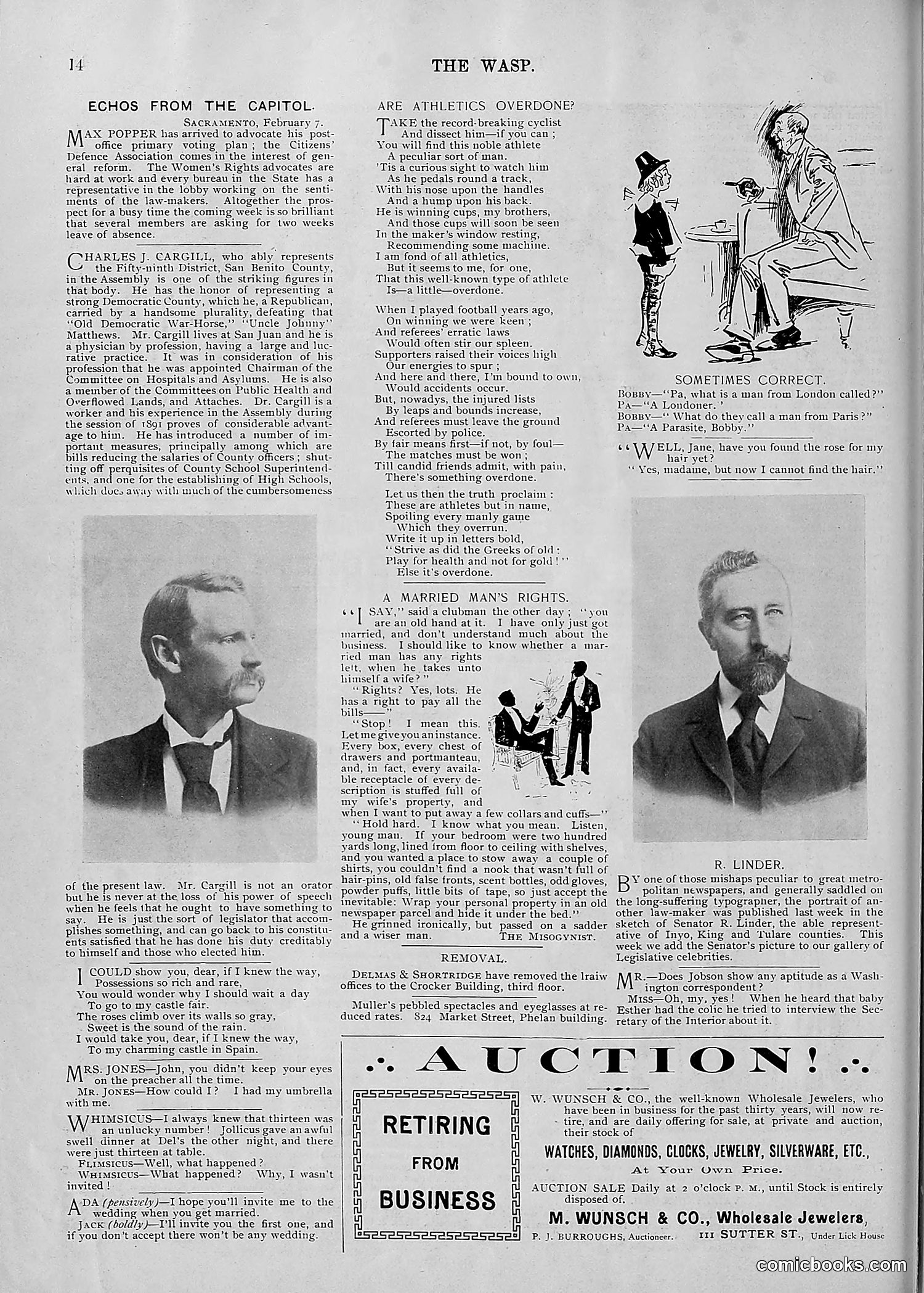 The Wasp — 1895 — page 119 of 1100