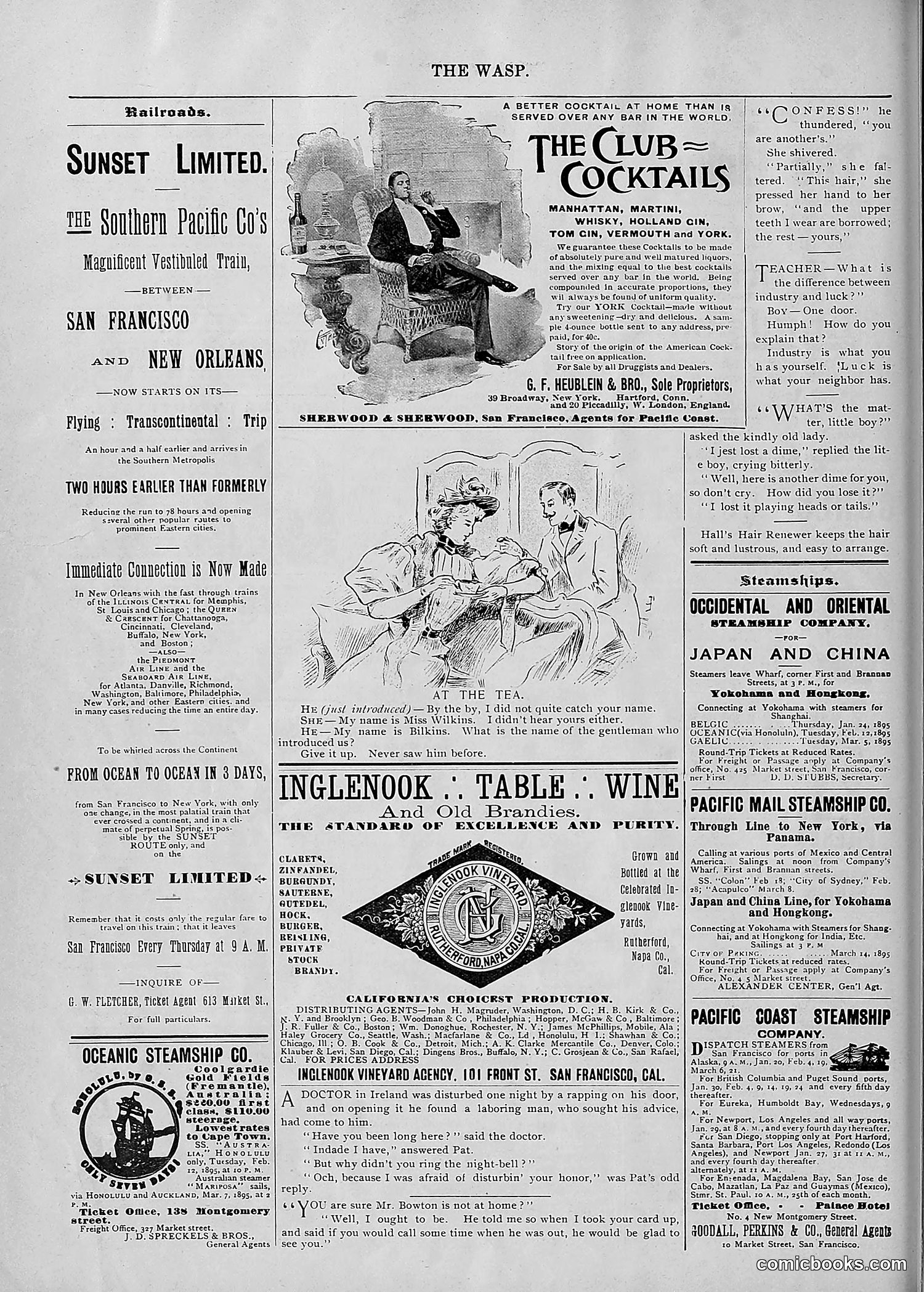The Wasp — 1895 — page 123 of 1100